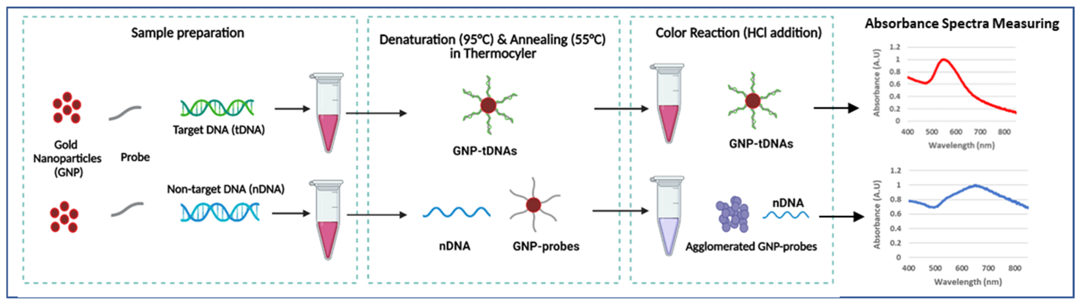 Diagnostics 13 00656 sch001 550