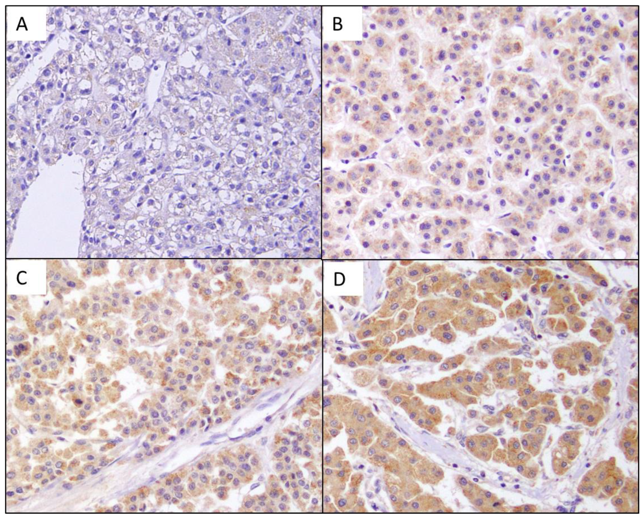 Diagnostics 13 00659 g001 Diagnostics 13 00659 g001