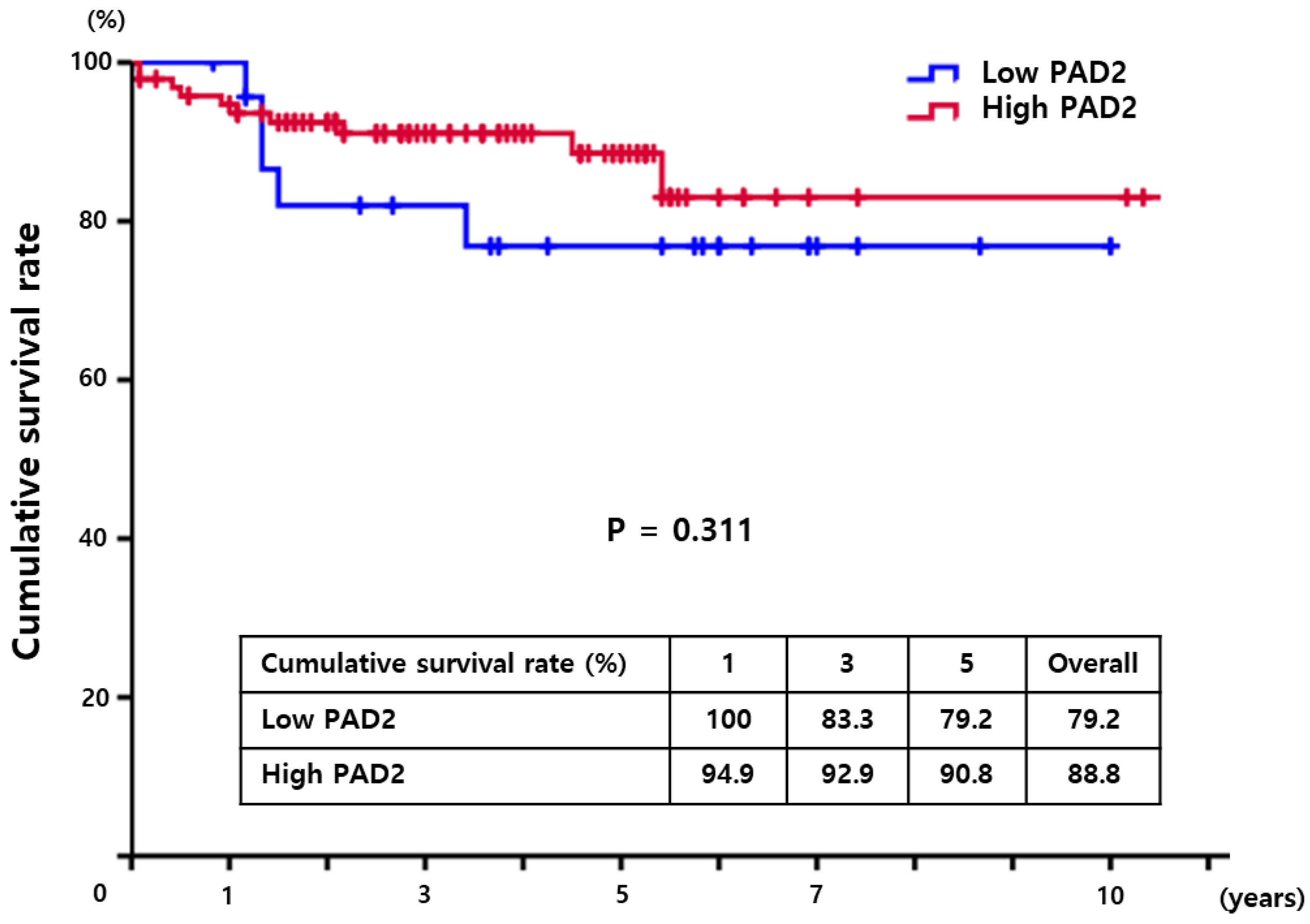 Diagnostics 13 00659 g002 Diagnostics 13 00659 g002