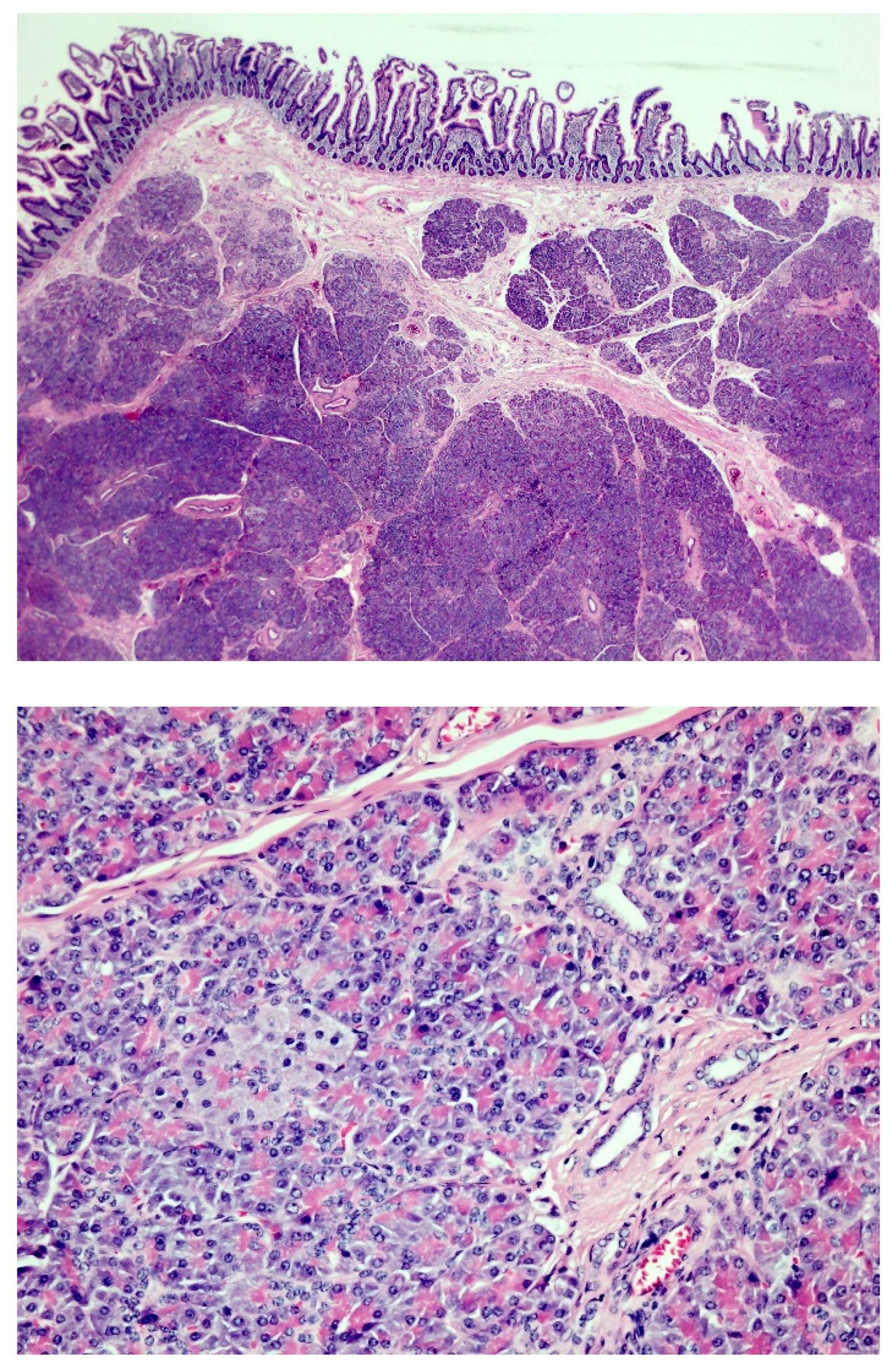 Diagnostics 13 00660 g004 550