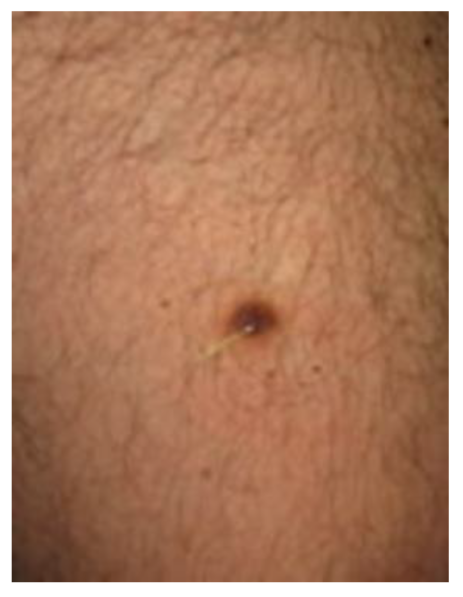 Diagnostics 13 00671 g006