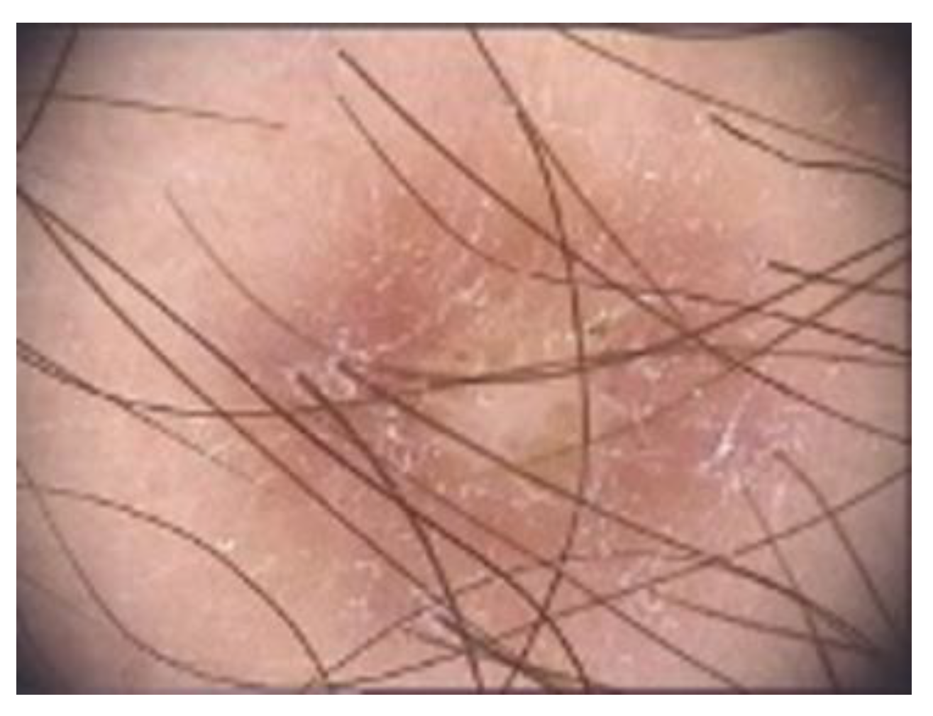 Diagnostics 13 00671 g008