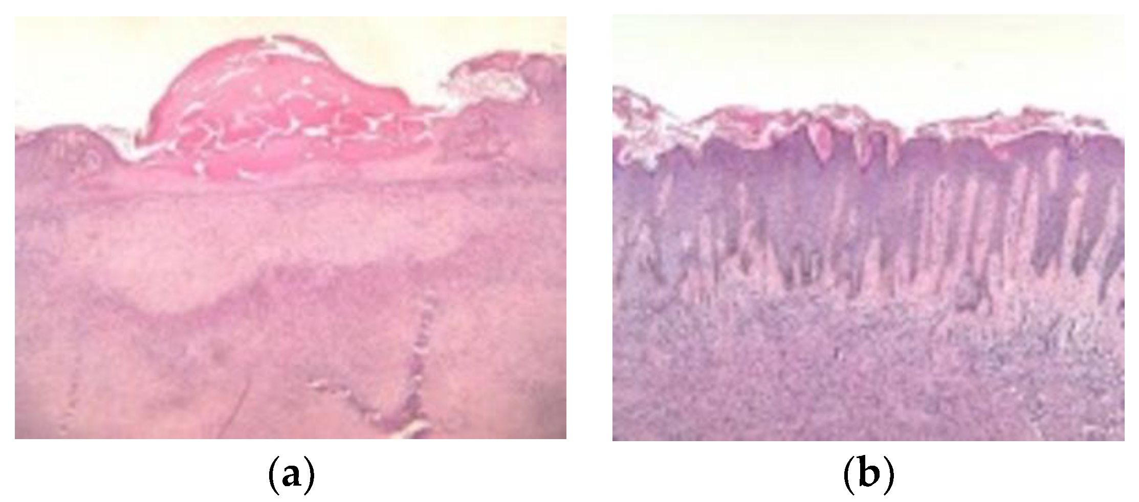 Diagnostics 13 00671 g014