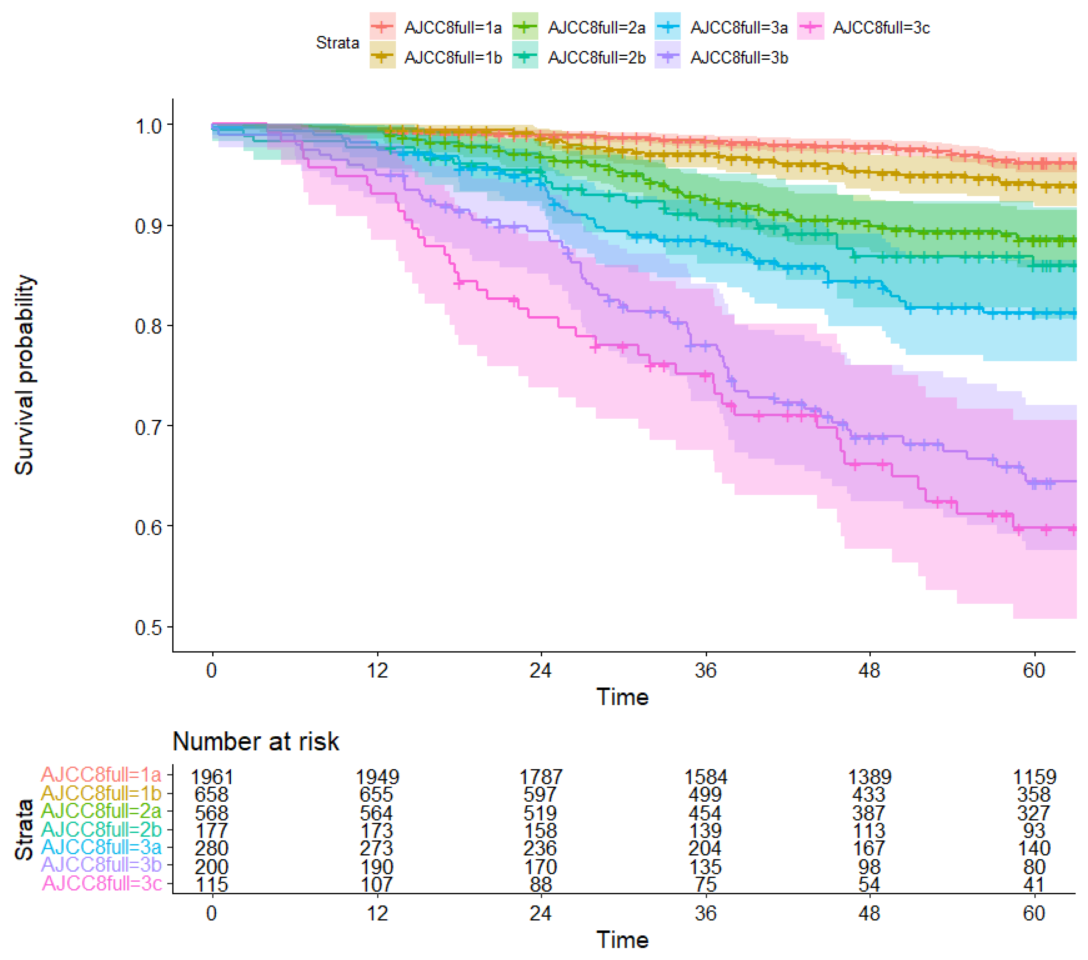 Diagnostics 13 00674 g004