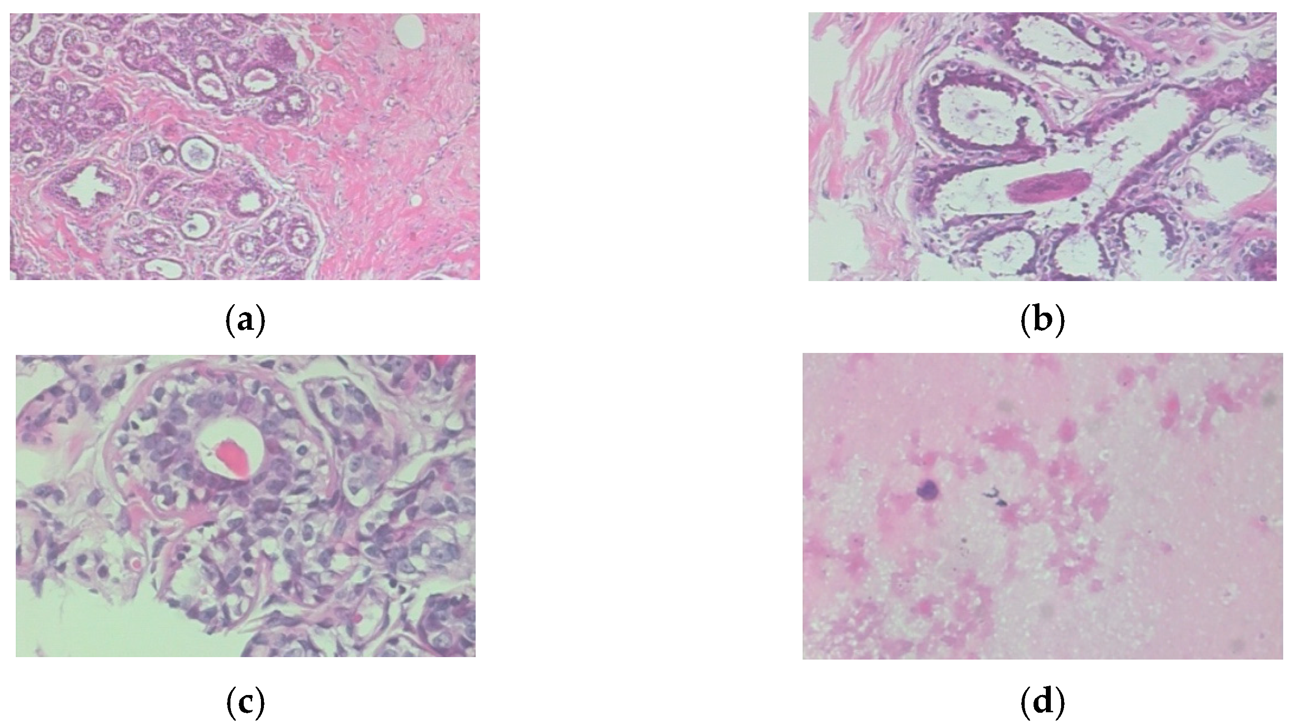 Diagnostics 13 00683 g002