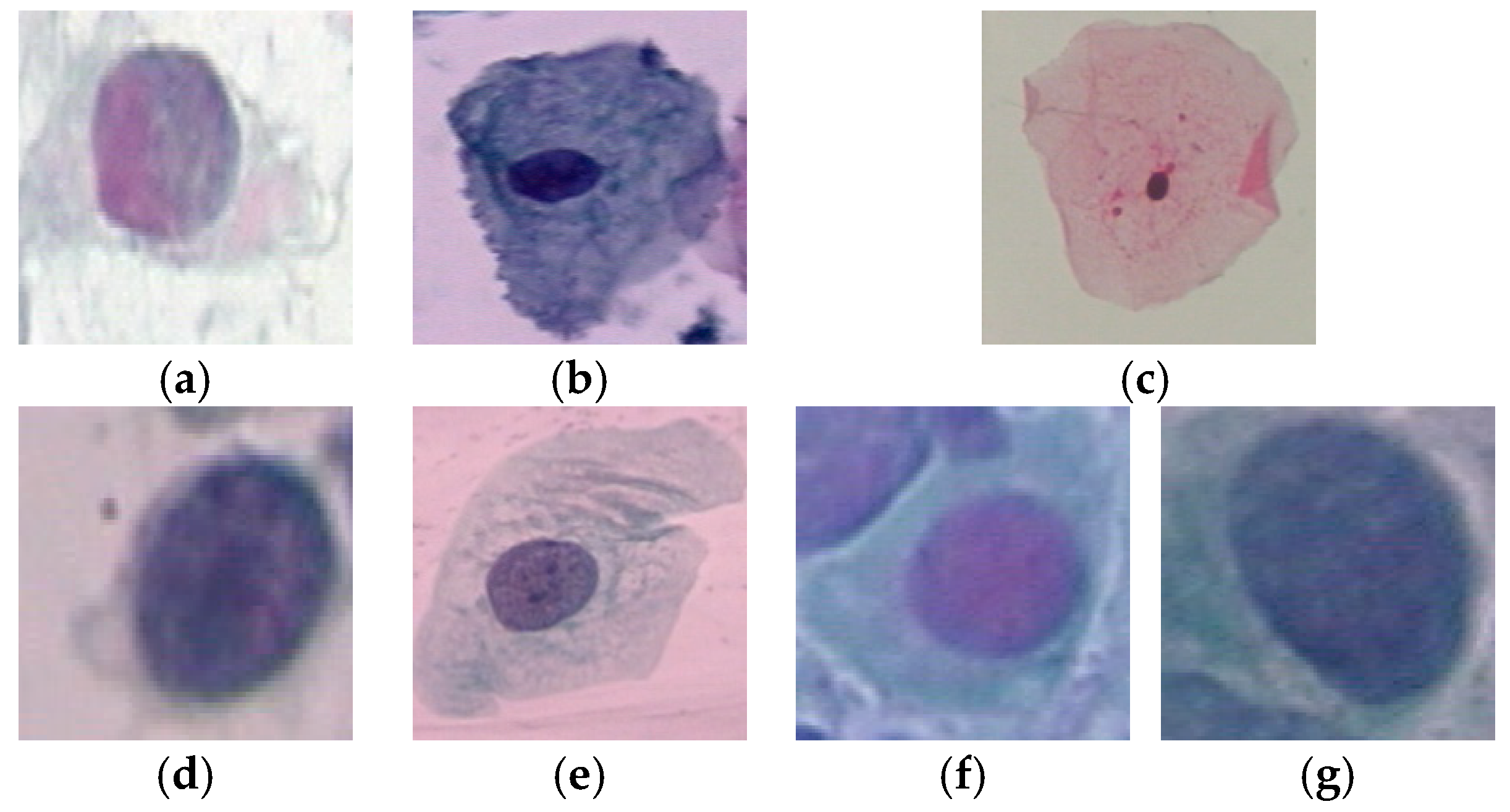 Diagnostics 13 00686 g008 550