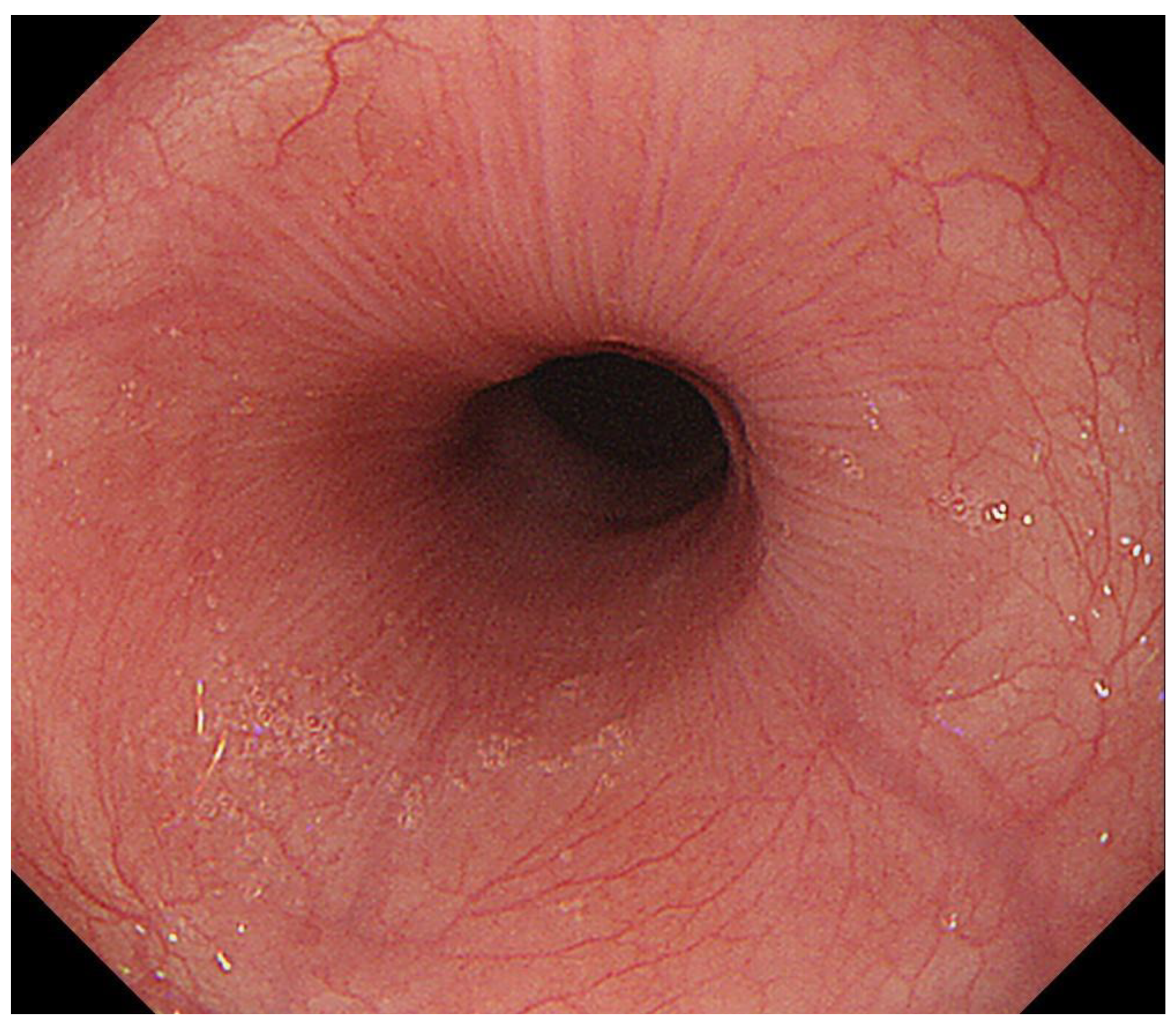 Diagnostics 13 00695 g005