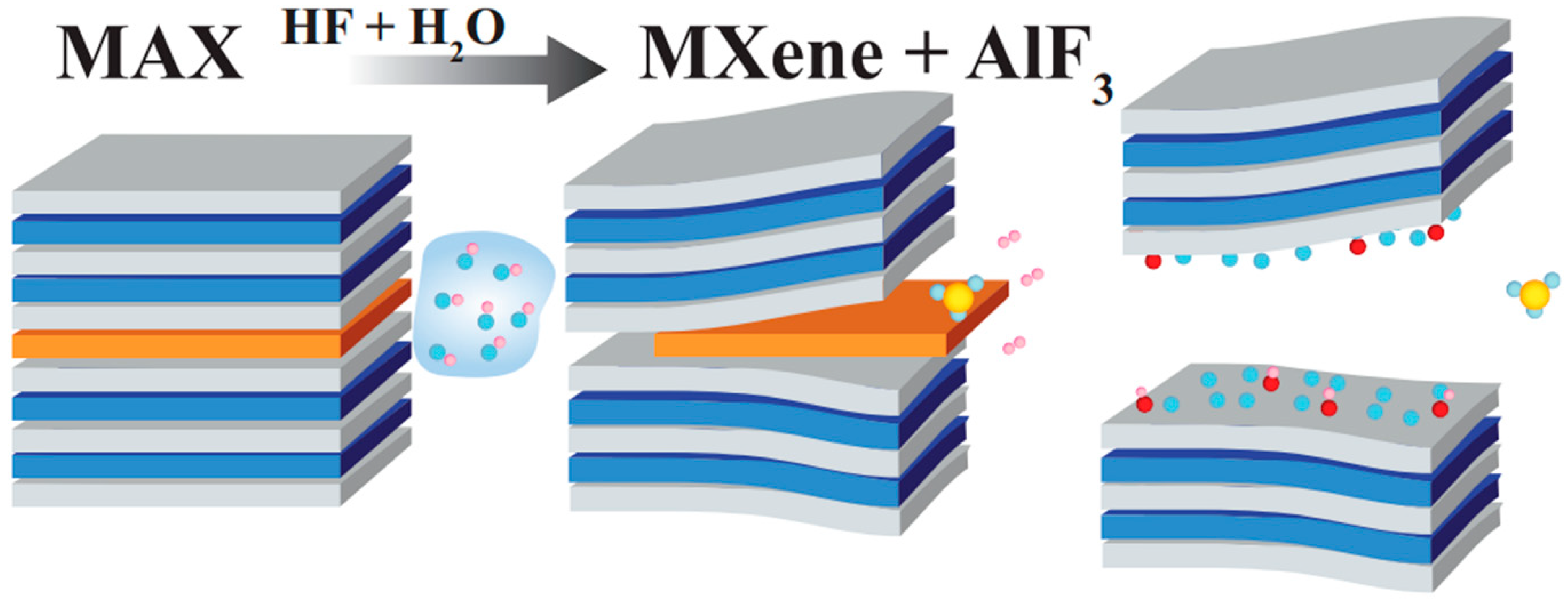 Diagnostics 13 00697 g004 550