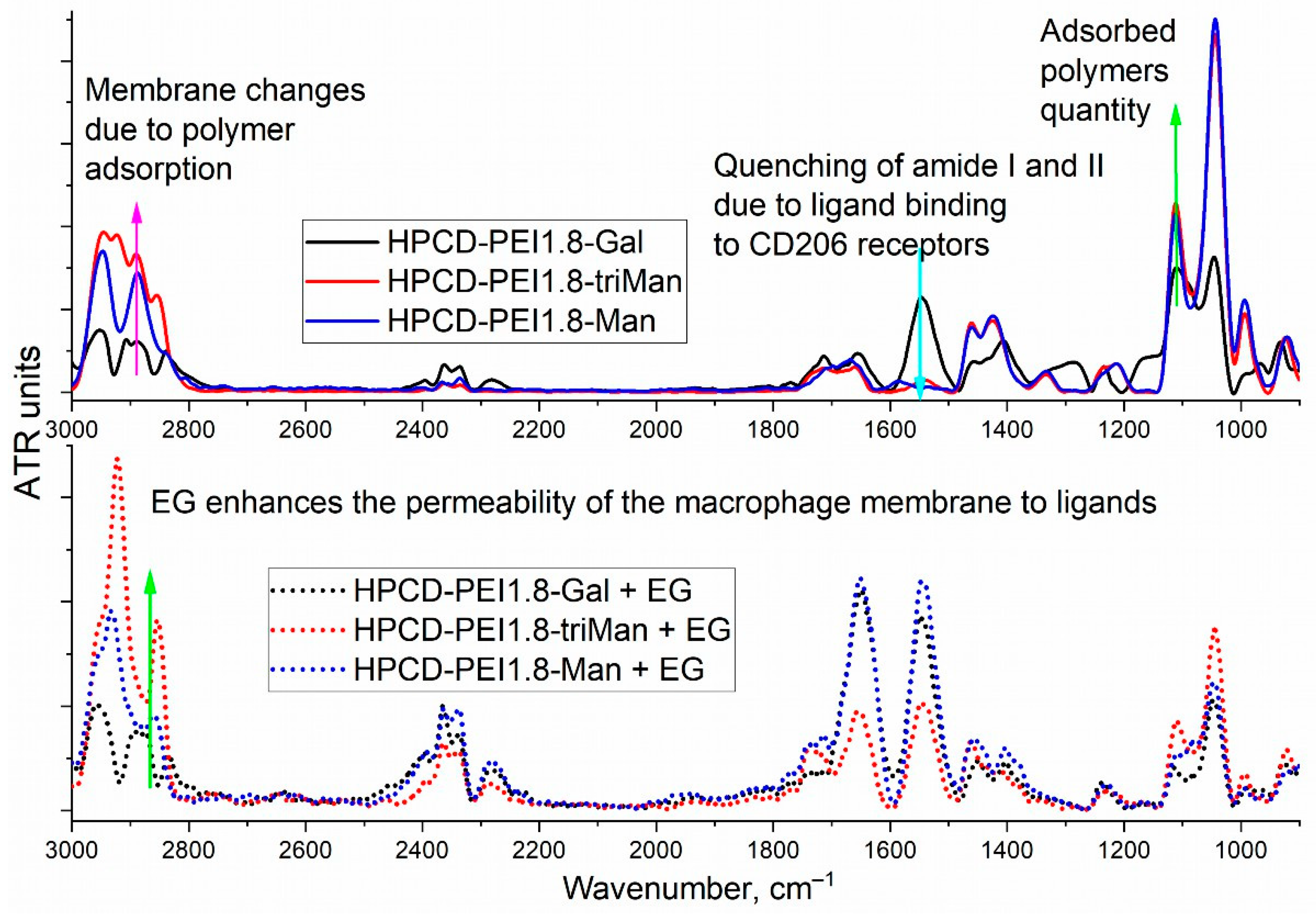 Diagnostics 13 00698 g004 Diagnostics 13 00698 g004