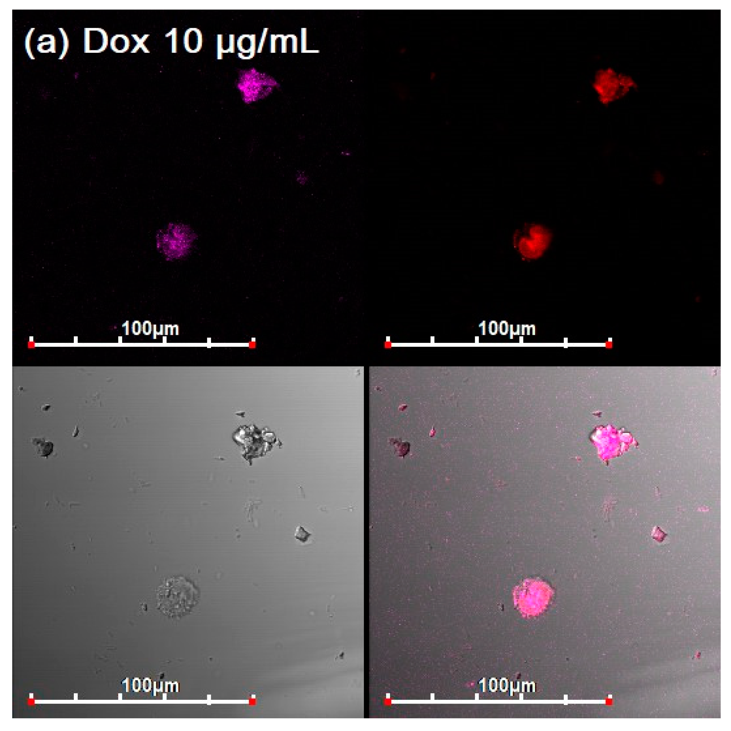 Diagnostics 13 00698 g005a Diagnostics 13 00698 g005a