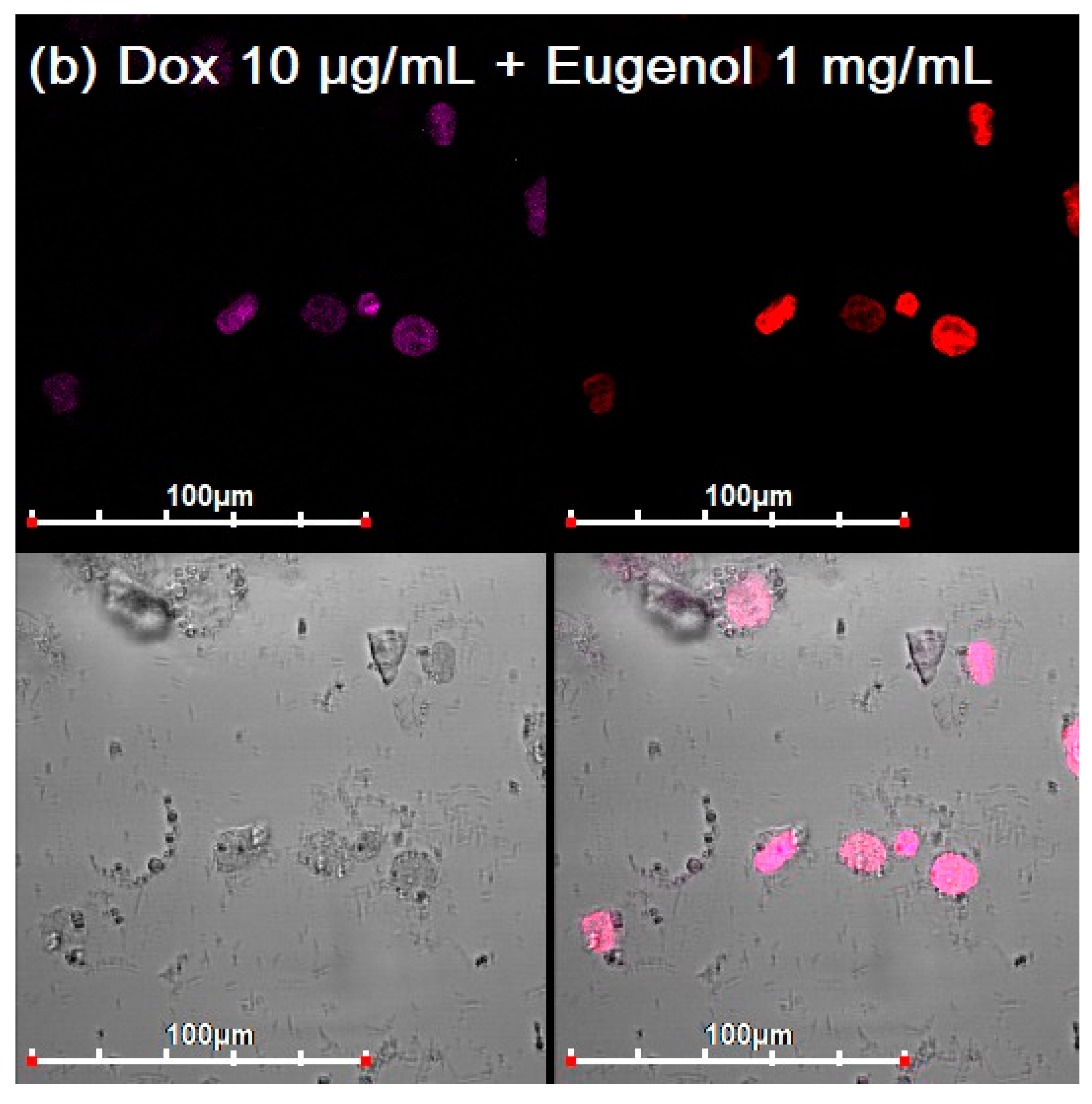 Diagnostics 13 00698 g005b Diagnostics 13 00698 g005b
