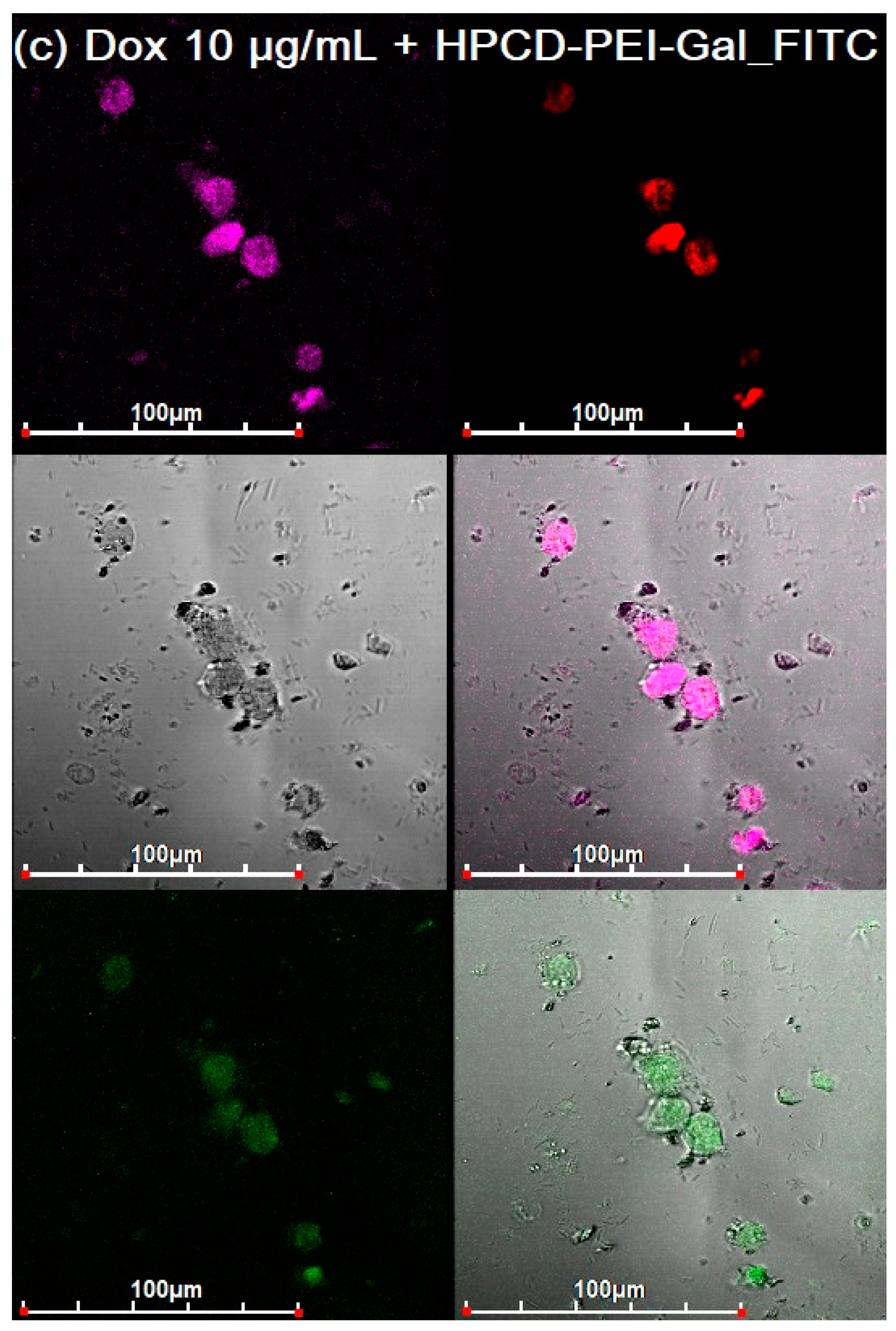 Diagnostics 13 00698 g005c Diagnostics 13 00698 g005c