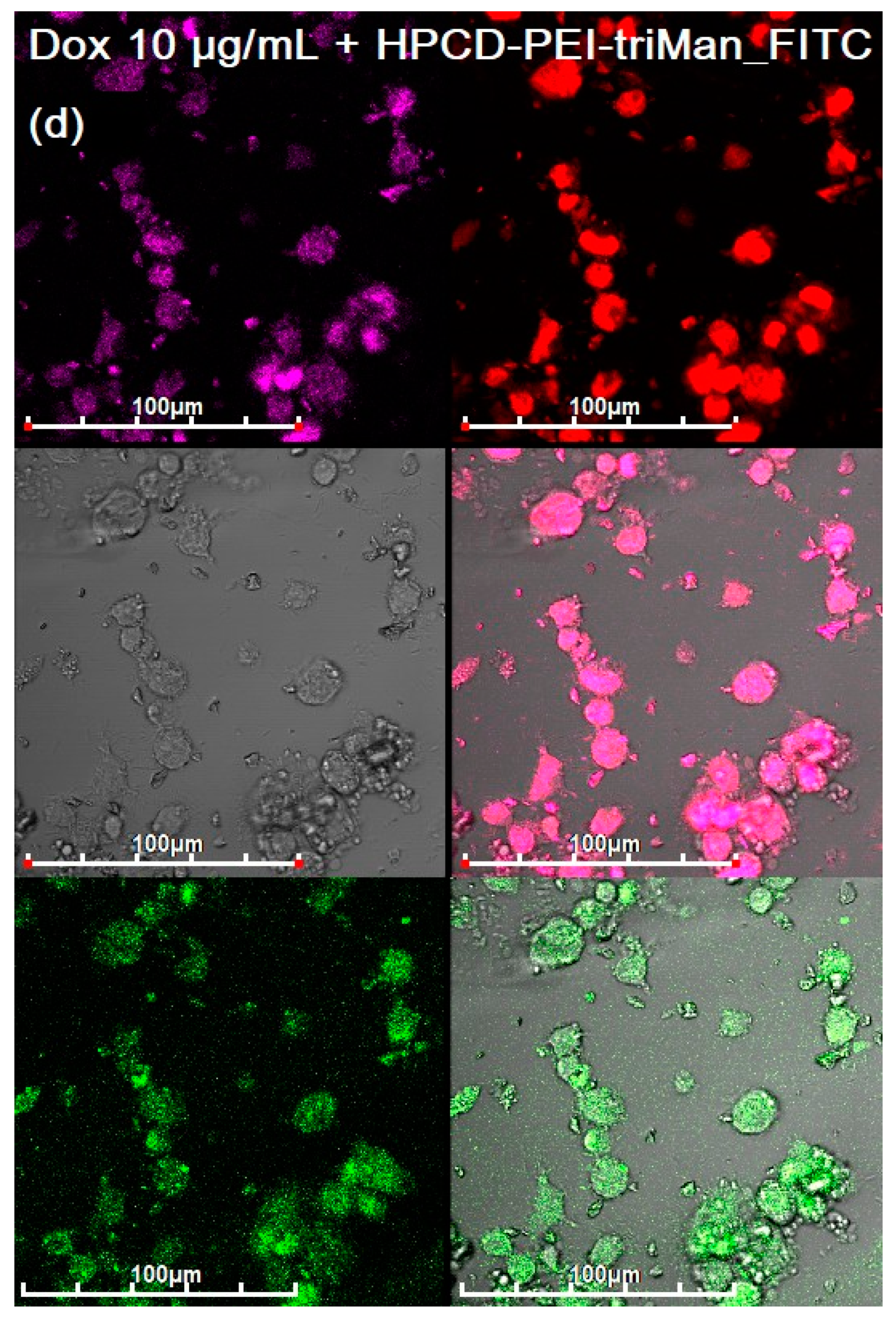 Diagnostics 13 00698 g005d Diagnostics 13 00698 g005d