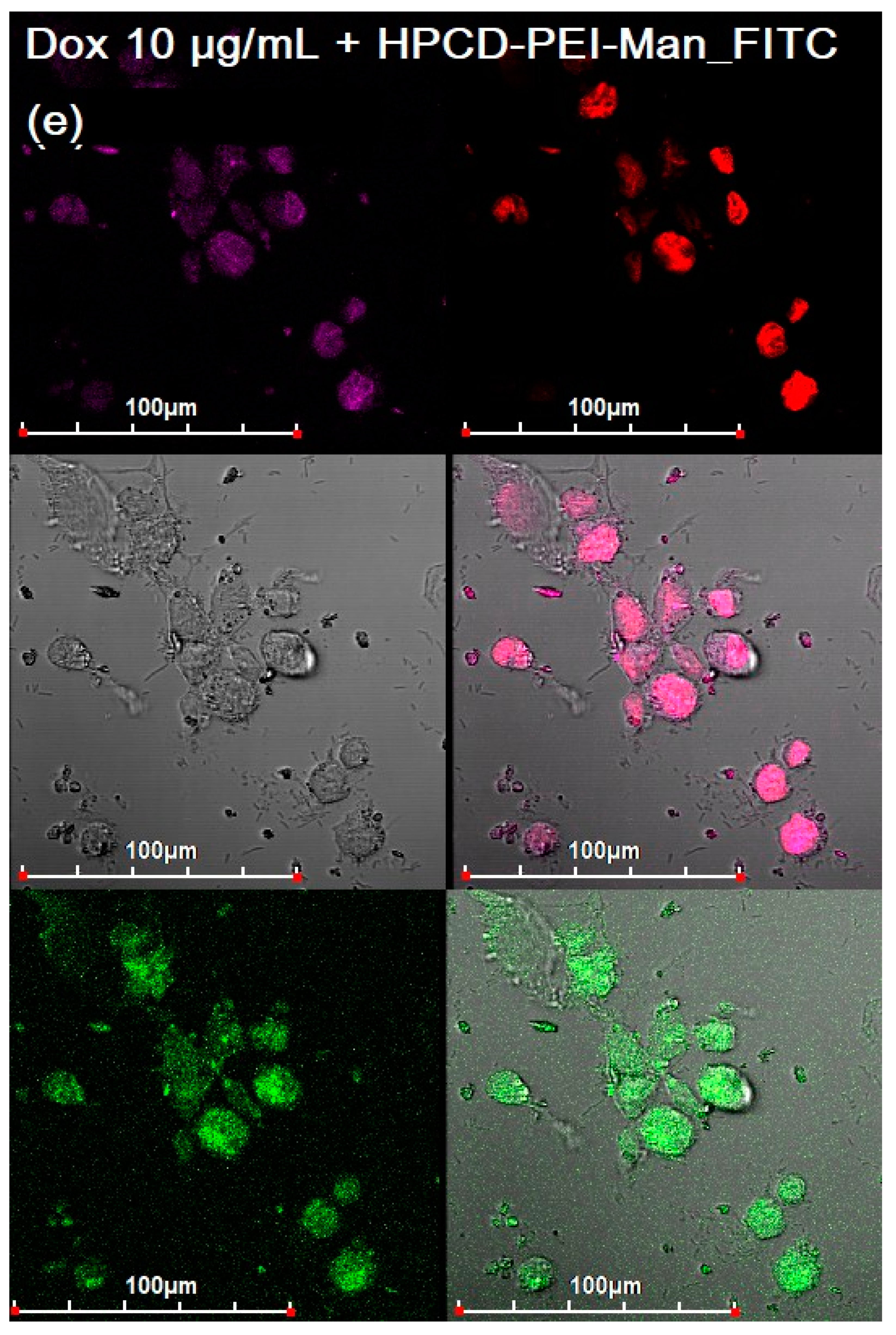 Diagnostics 13 00698 g005e Diagnostics 13 00698 g005e