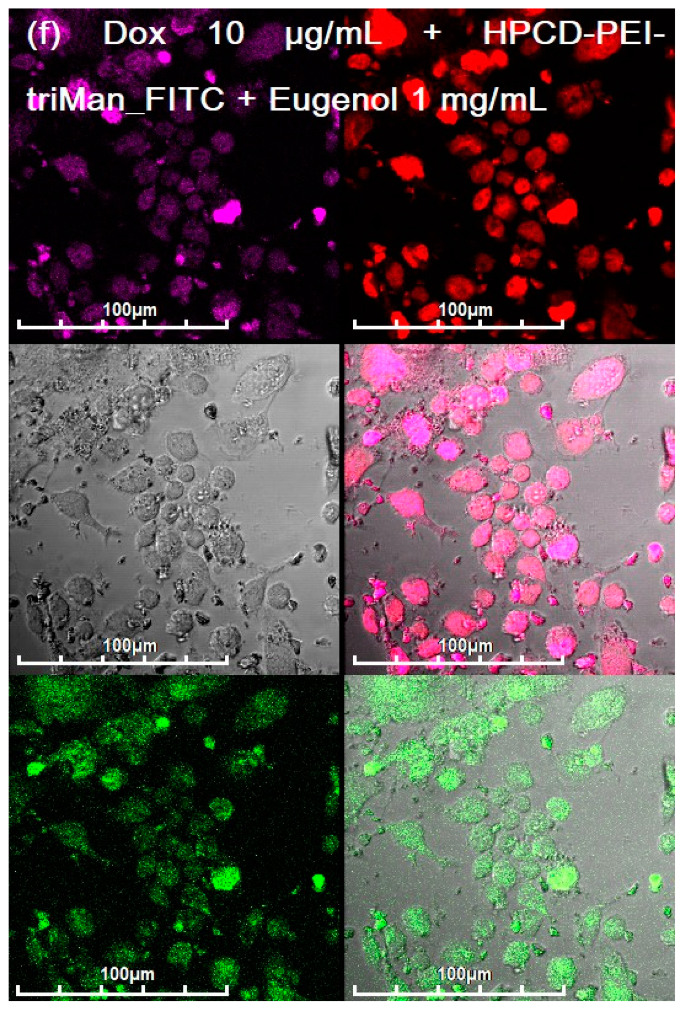 Diagnostics 13 00698 g005f Diagnostics 13 00698 g005f