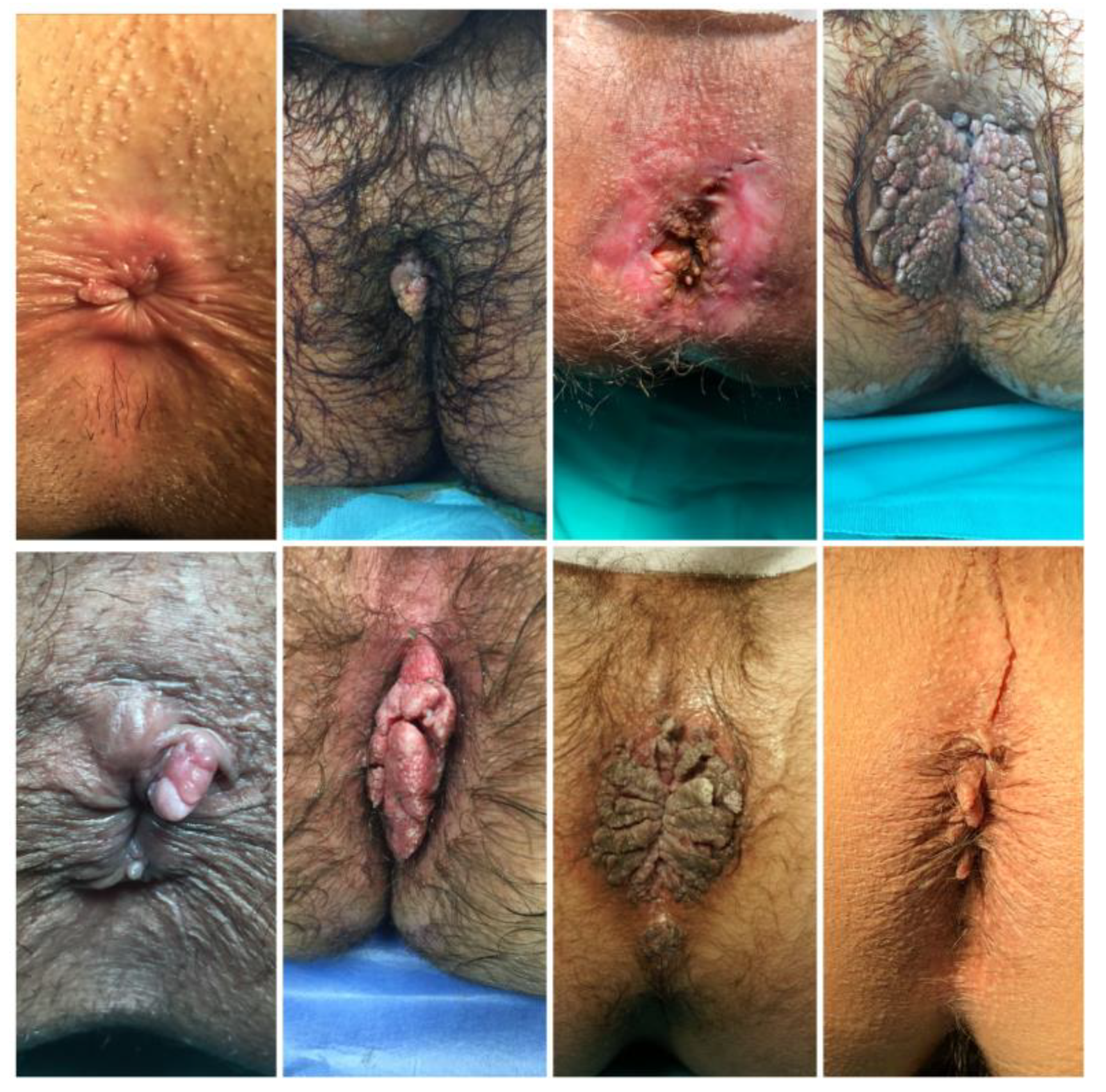 Diagnostics 13 00702 g001 Diagnostics 13 00702 g001