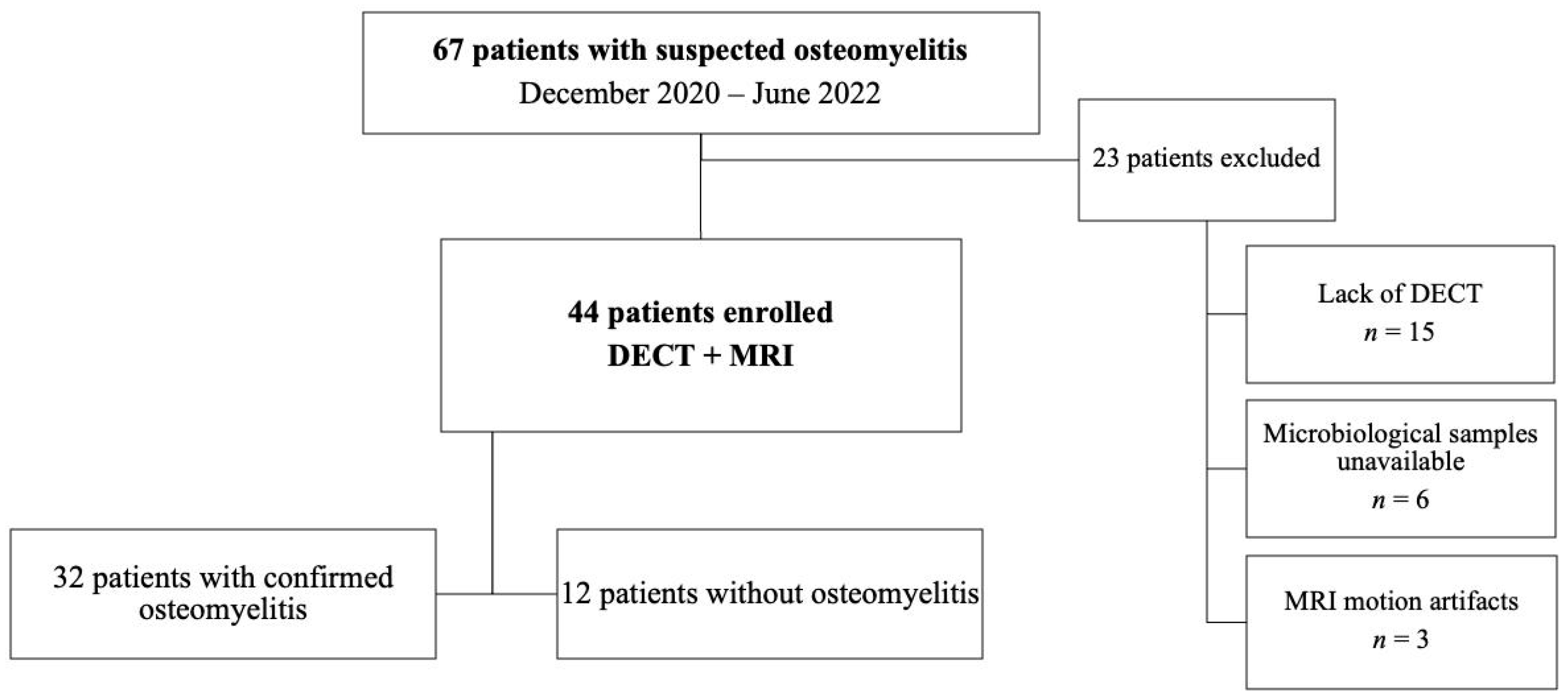 Diagnostics 13 00703 g001 550