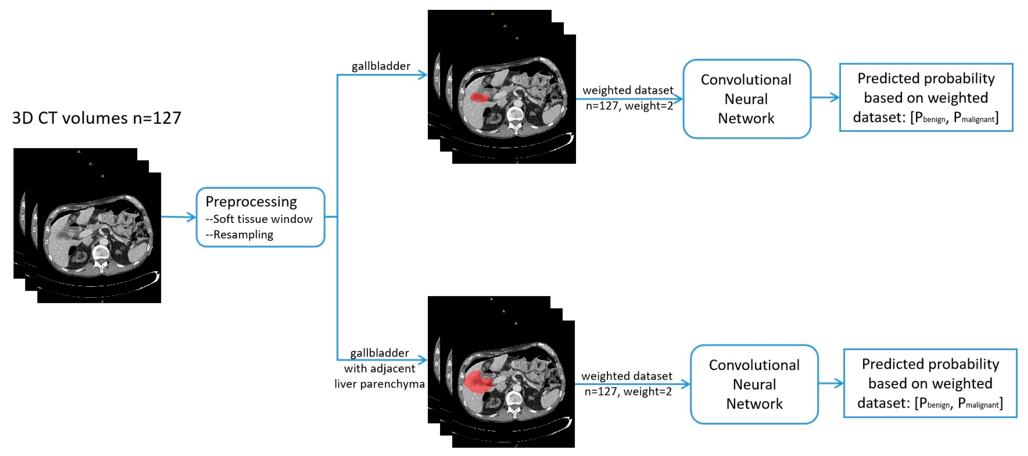 Diagnostics 13 00704 g001 550