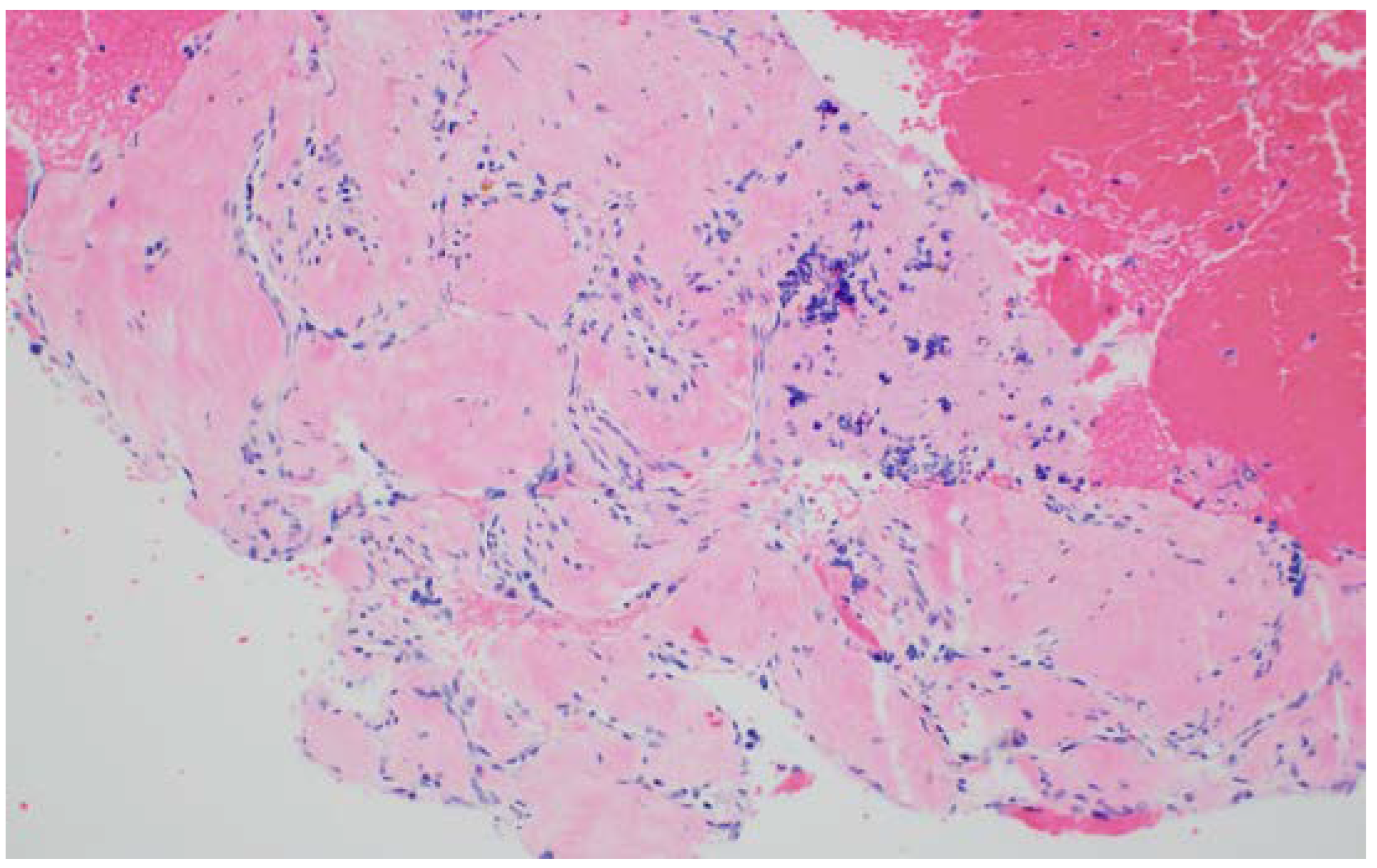 Diagnostics 13 00705 g003 550