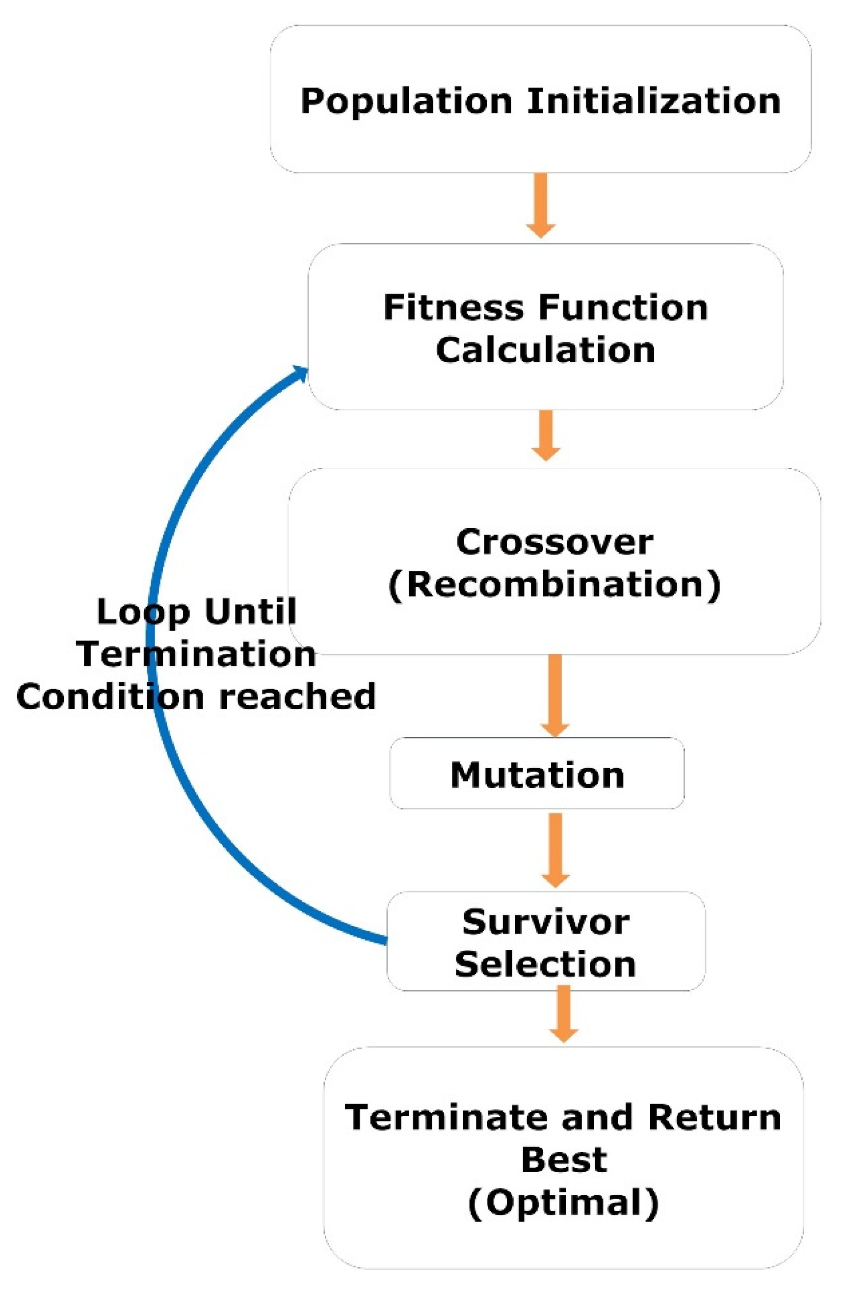 Diagnostics 13 00708 g003 Diagnostics 13 00708 g003