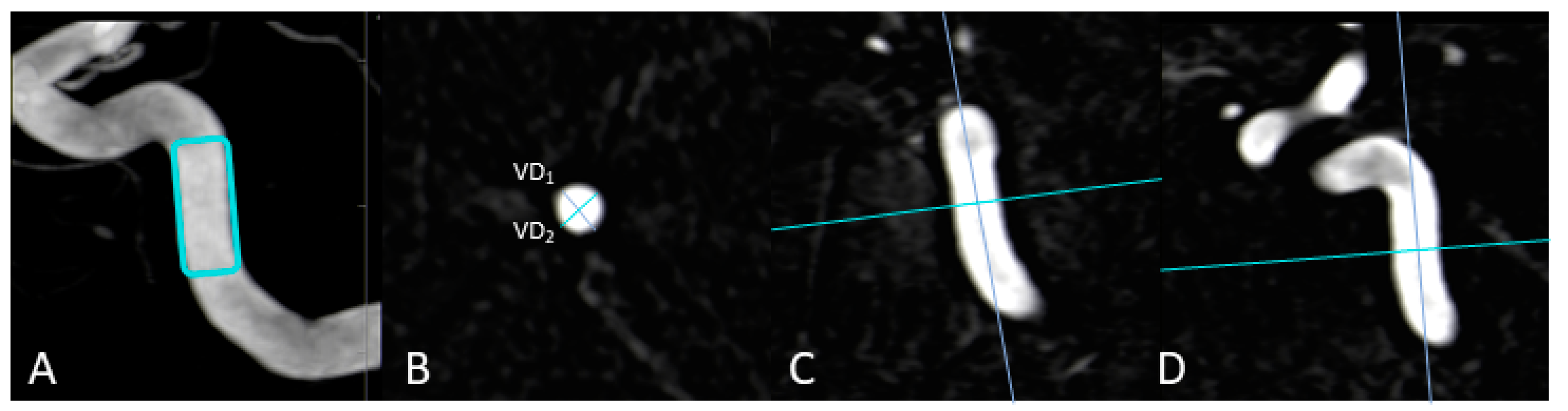 Diagnostics 13 00712 g001