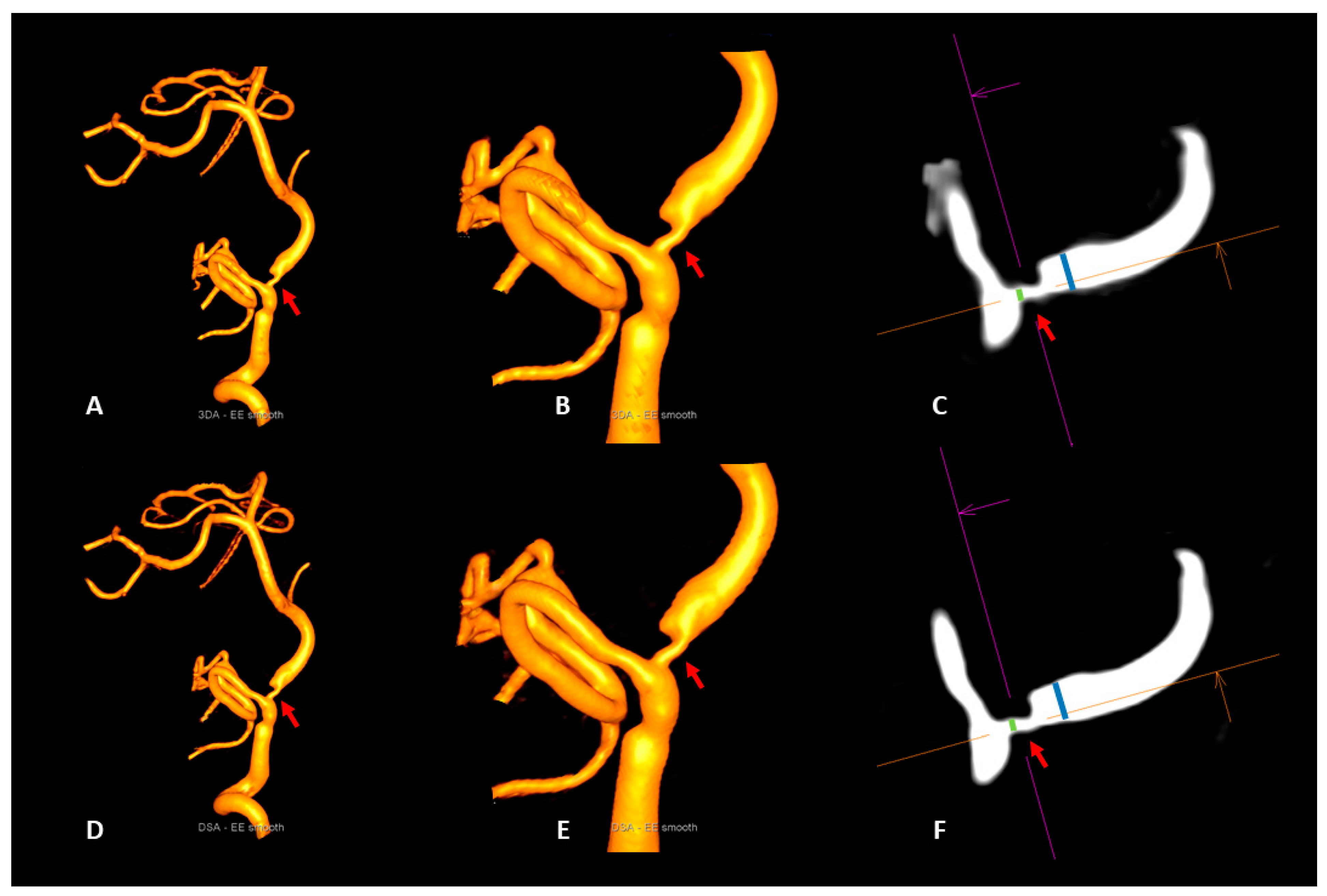 Diagnostics 13 00712 g002