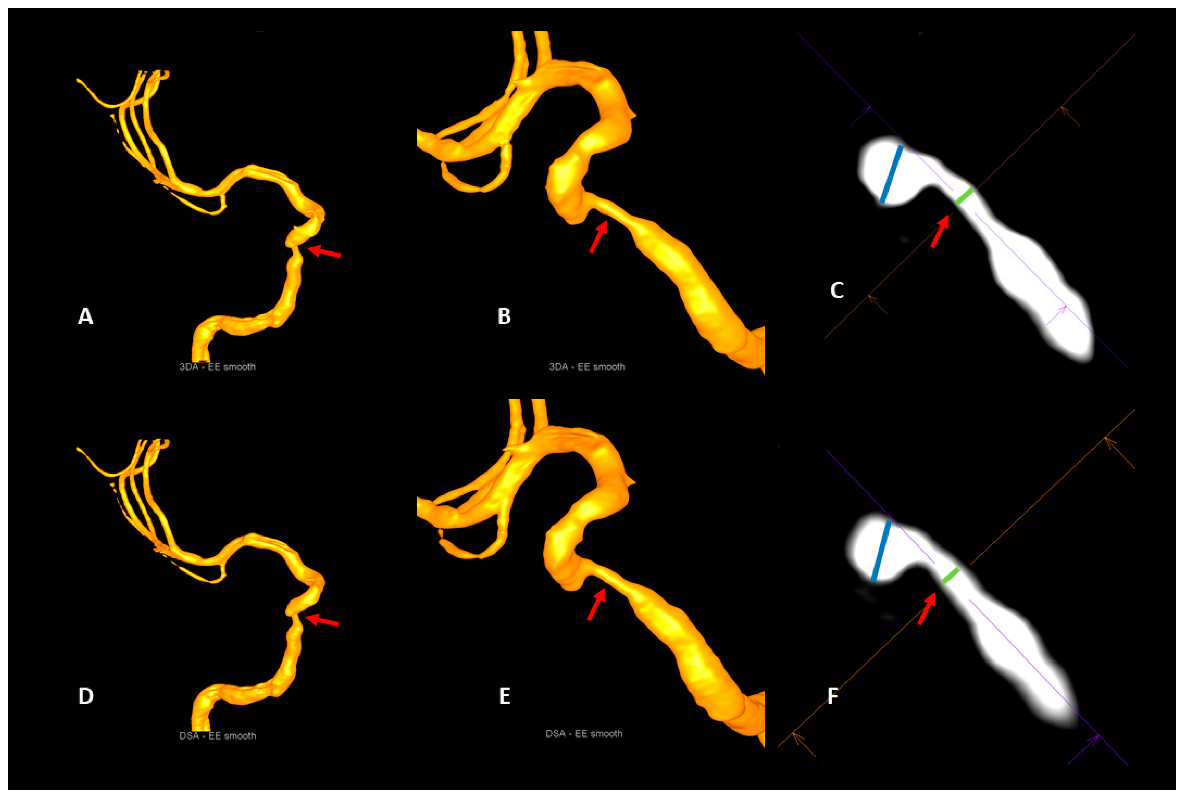 Diagnostics 13 00712 g003