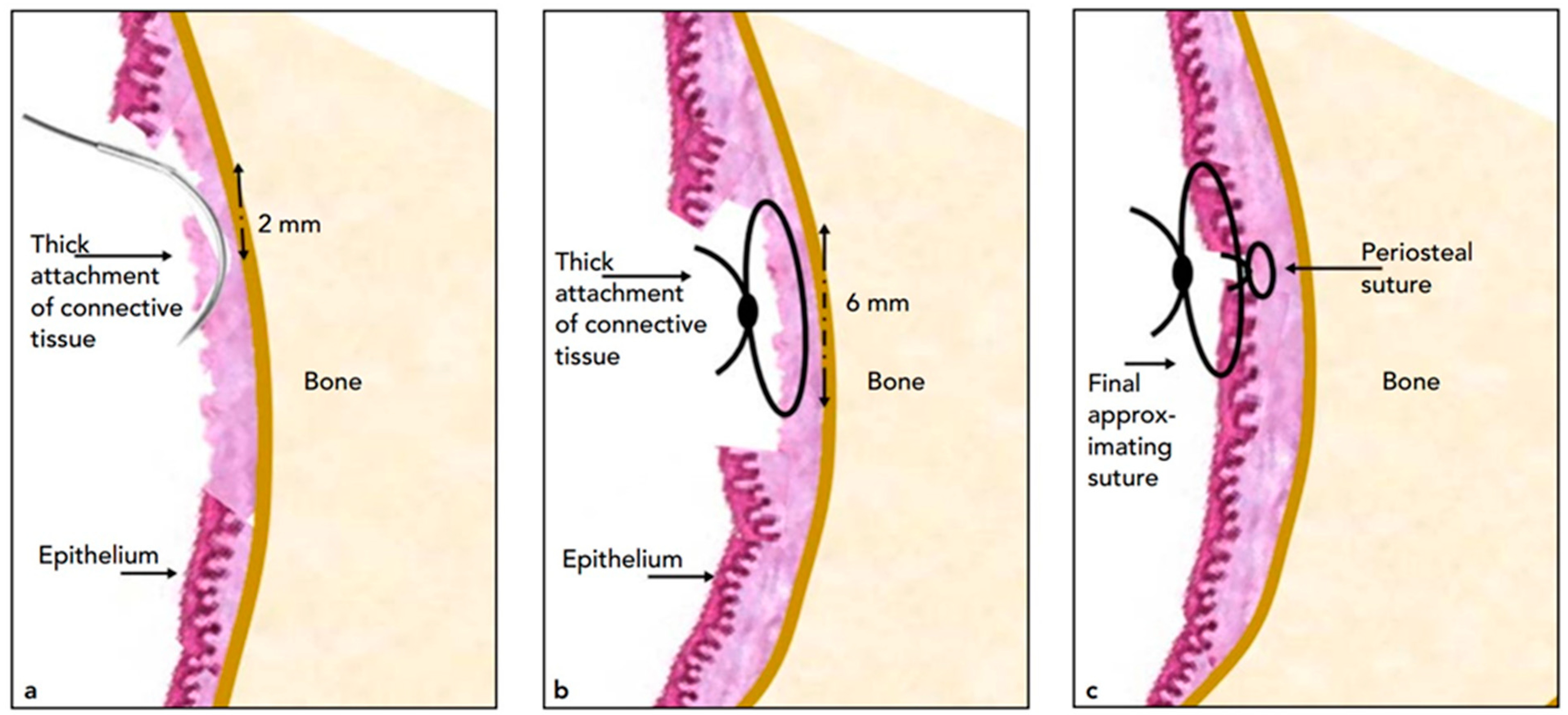 Diagnostics 13 00716 g002 550
