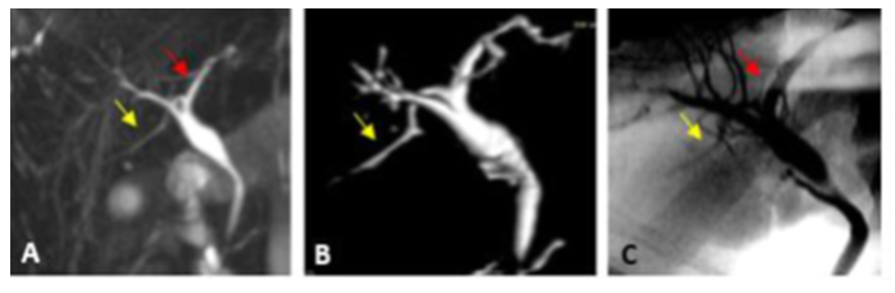 Diagnostics 13 00726 g003 Diagnostics 13 00726 g003