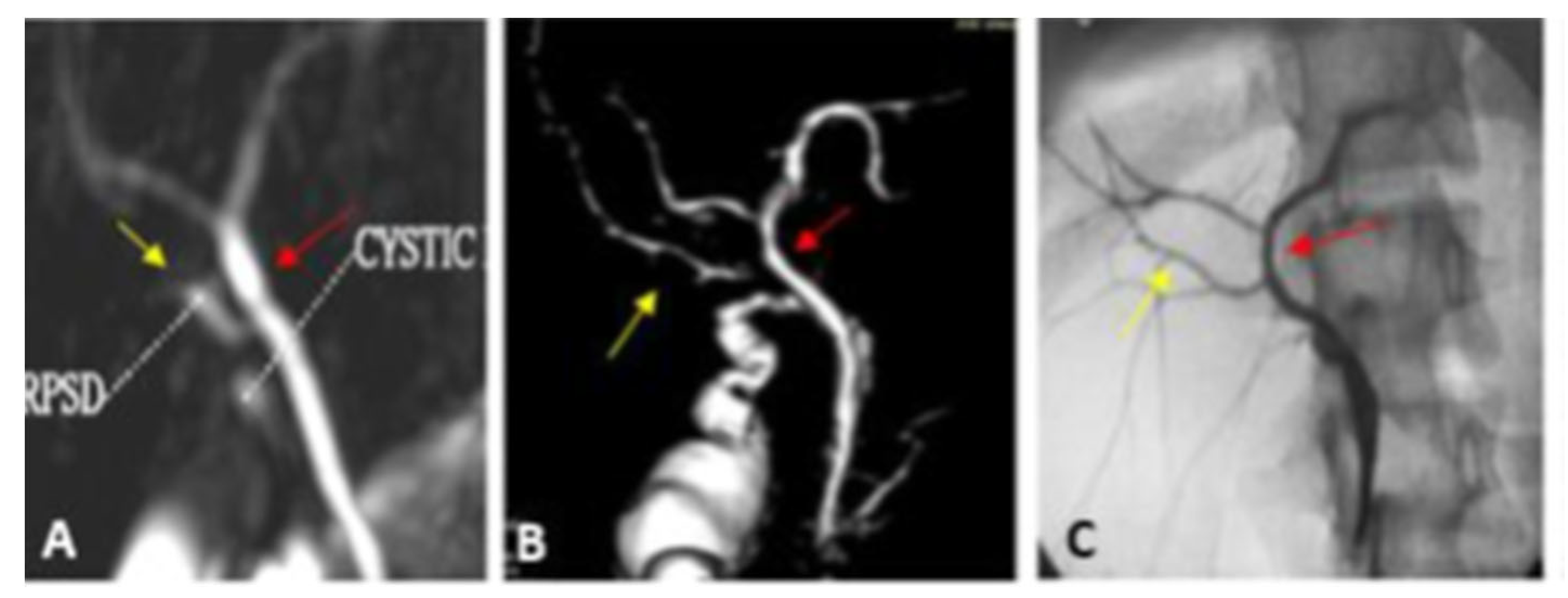Diagnostics 13 00726 g004 Diagnostics 13 00726 g004