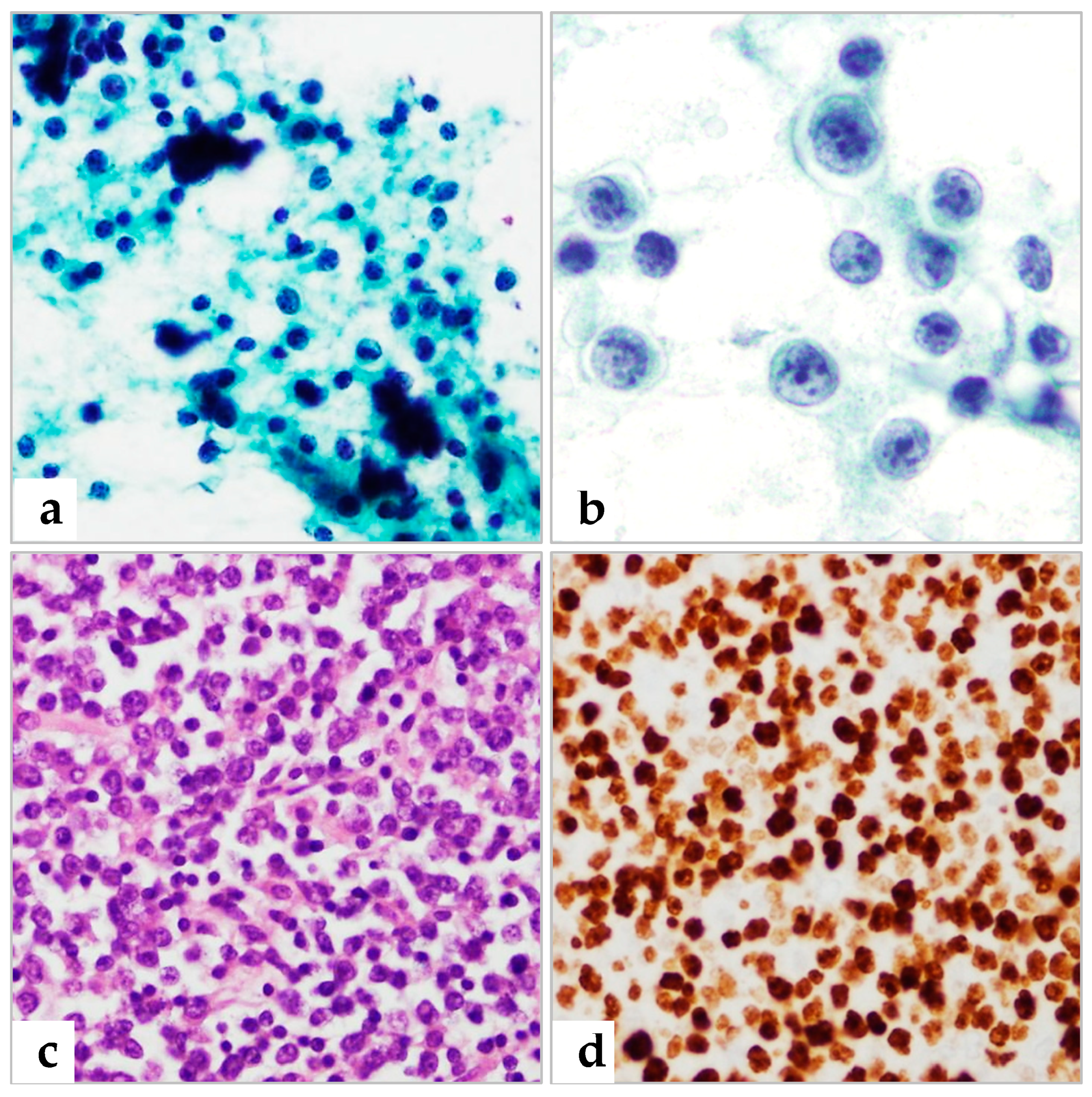 Diagnostics 13 00728 g002 Diagnostics 13 00728 g002