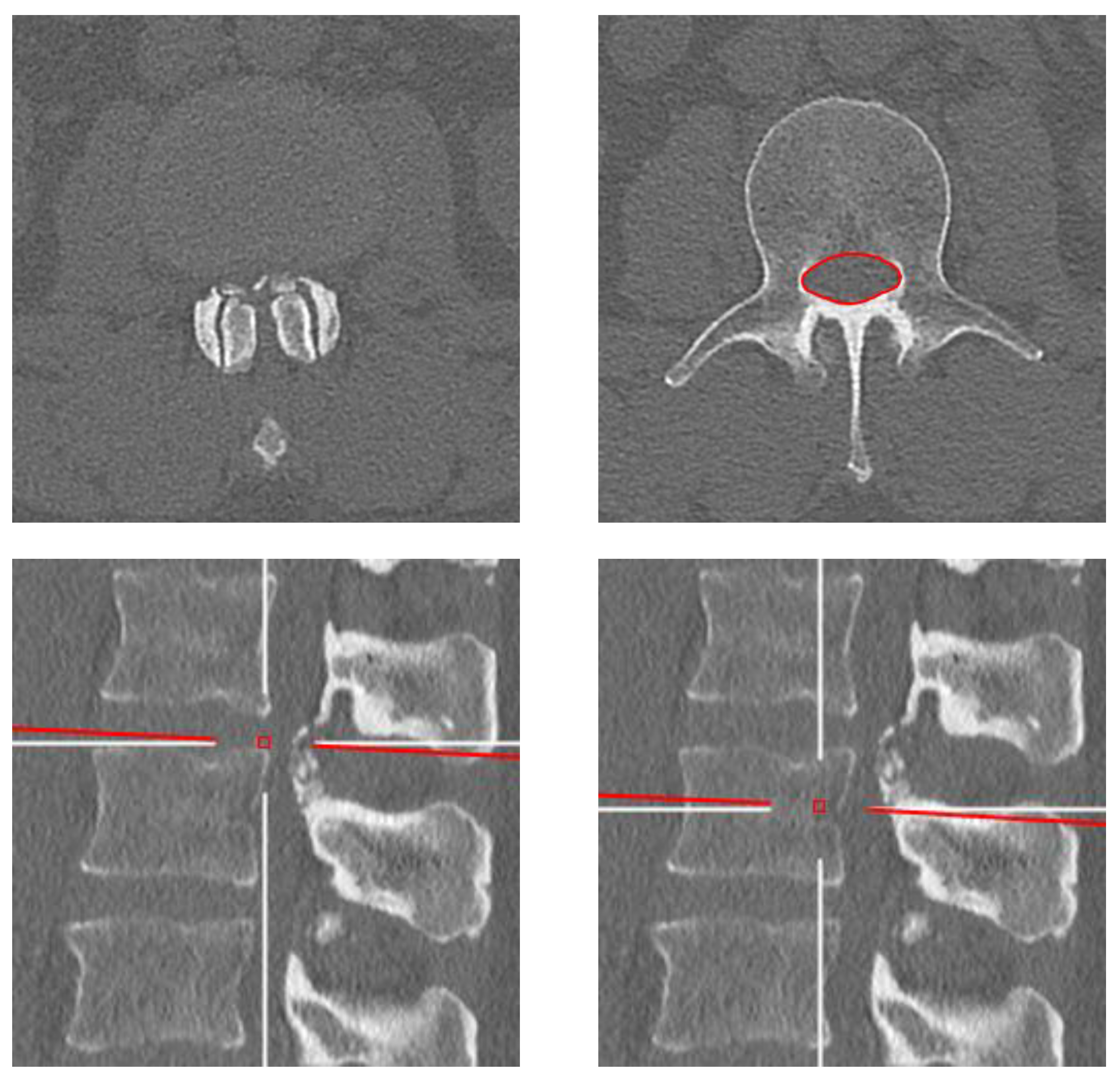 Diagnostics | Free Full-Text | Evolution of the Cross-Sectional