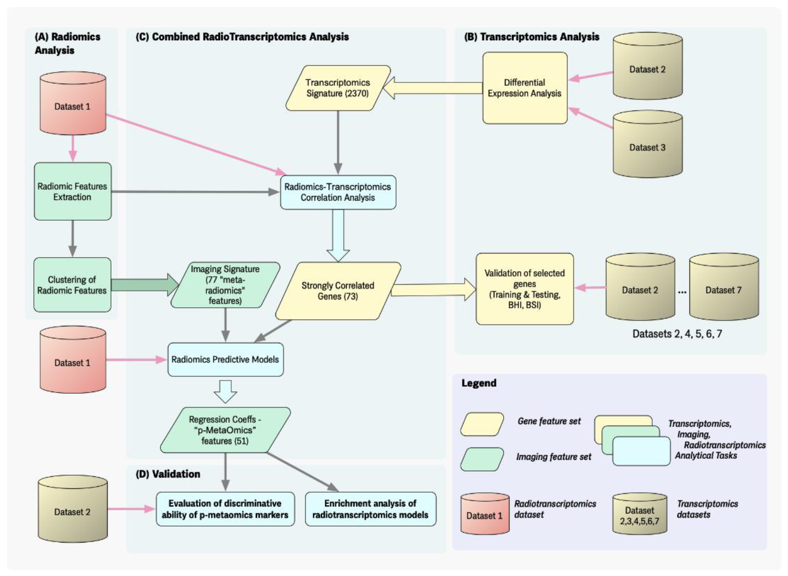 Diagnostics 13 00738 g001