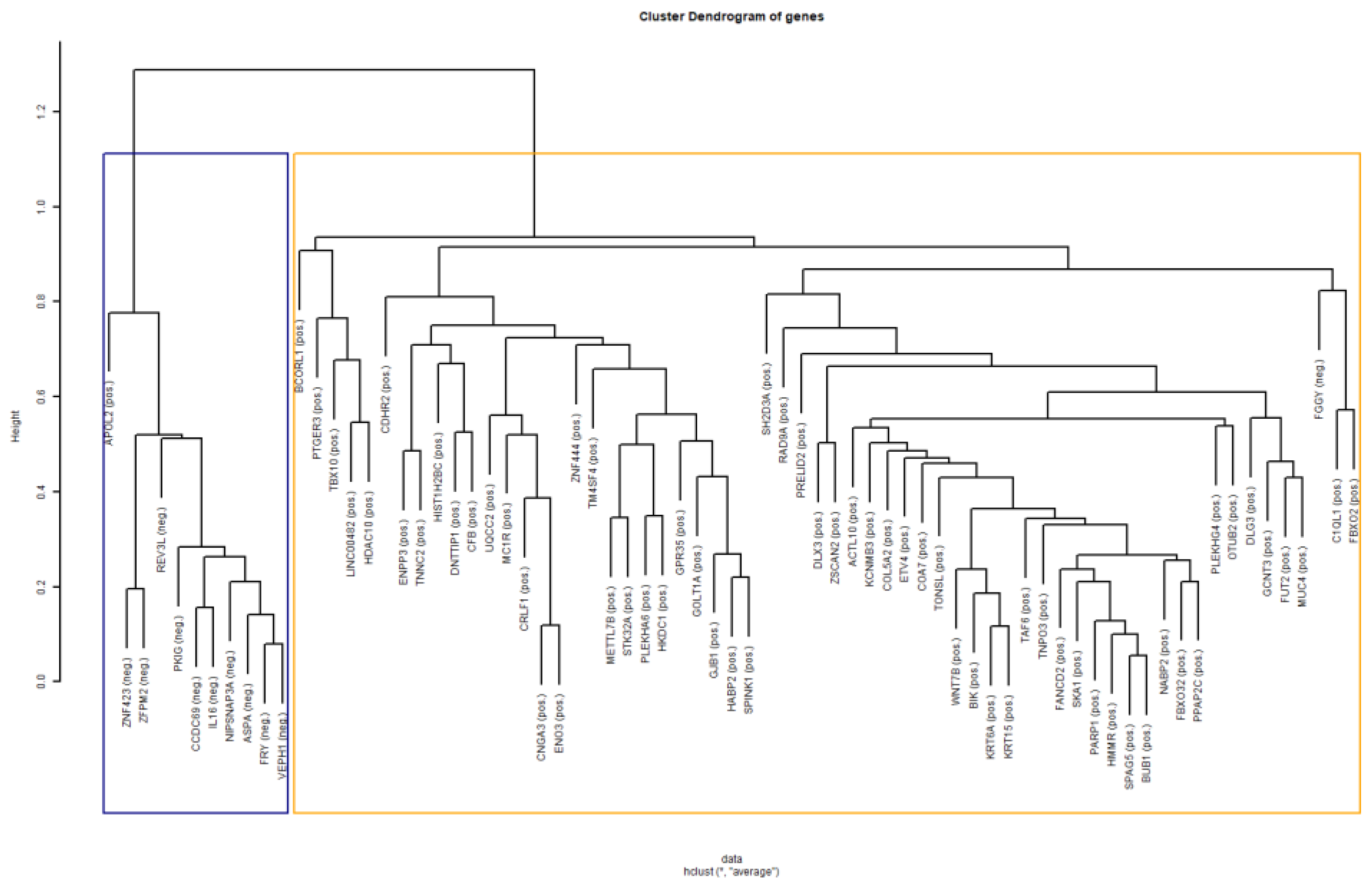 Diagnostics 13 00738 g005