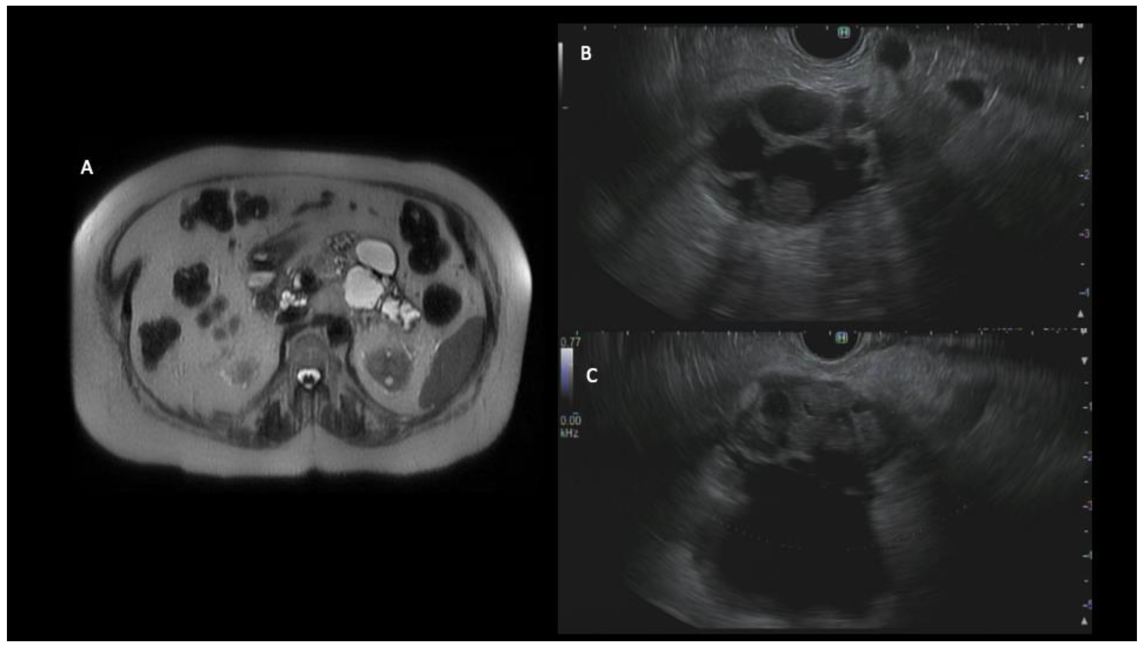 Diagnostics 13 00749 g002
