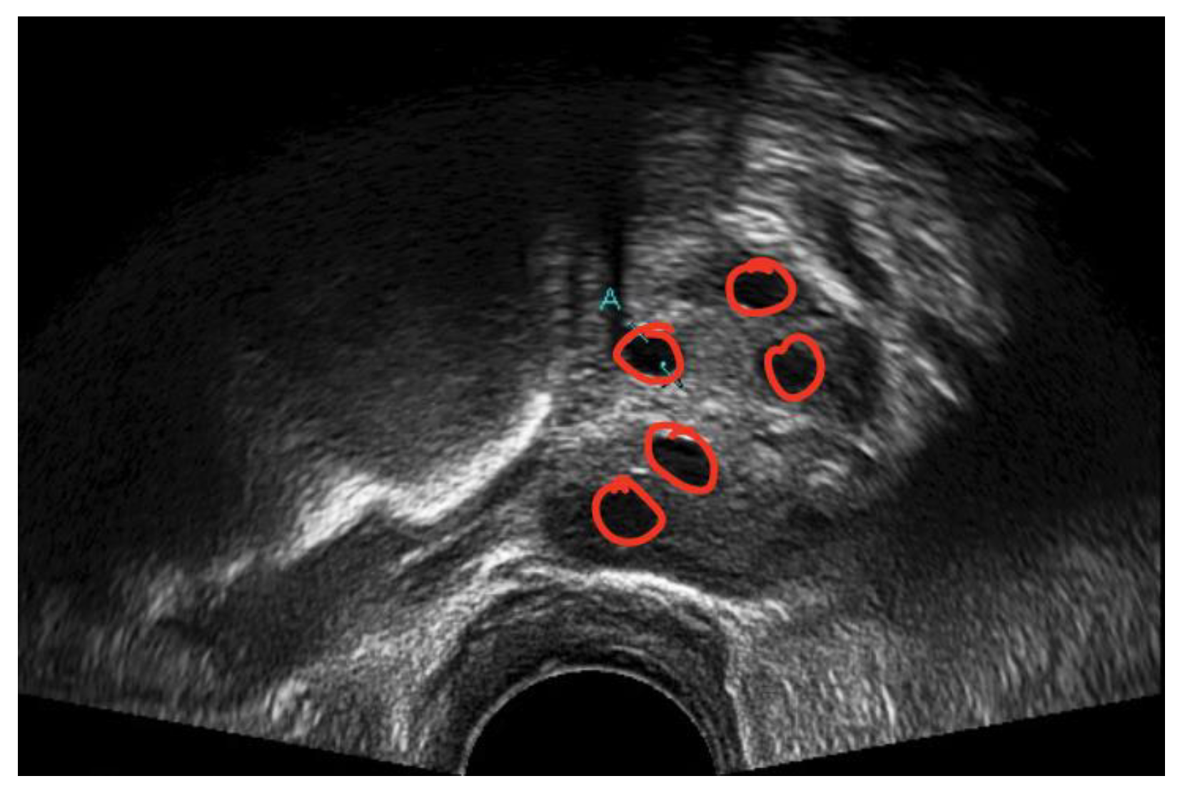 Diagnostics 13 00750 g008