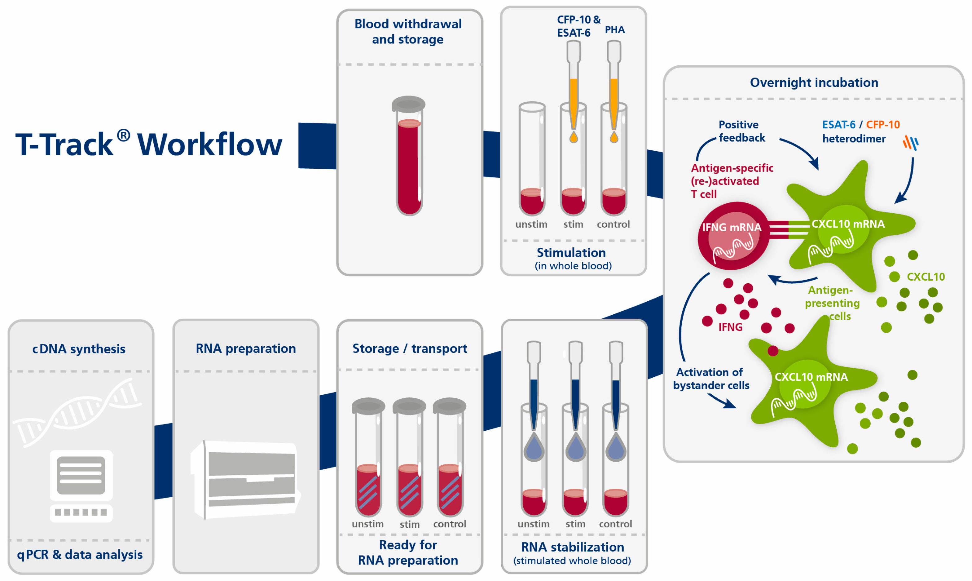 Diagnostics 13 00758 g001 Diagnostics 13 00758 g001