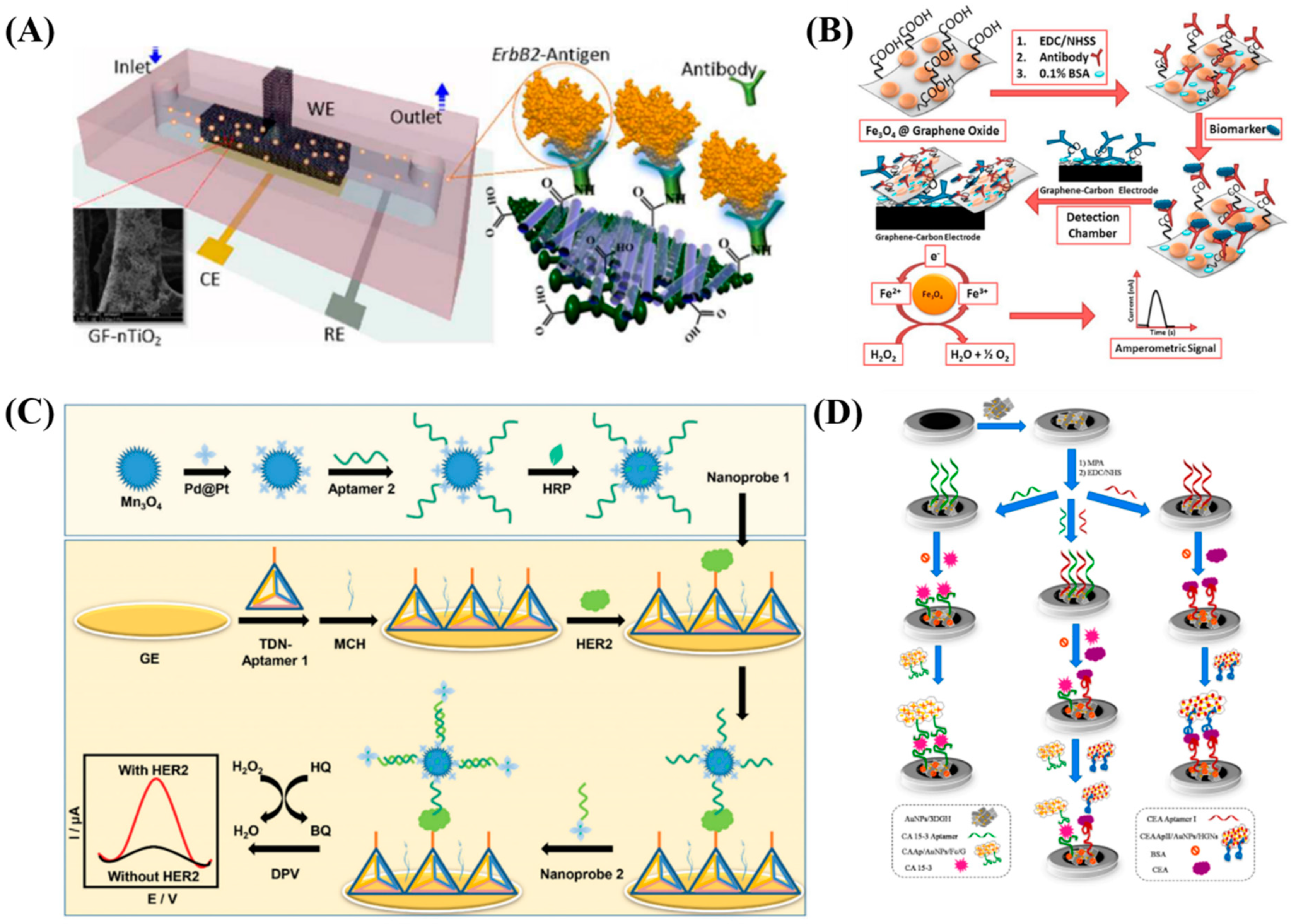 Diagnostics 13 00766 g002 Diagnostics 13 00766 g002