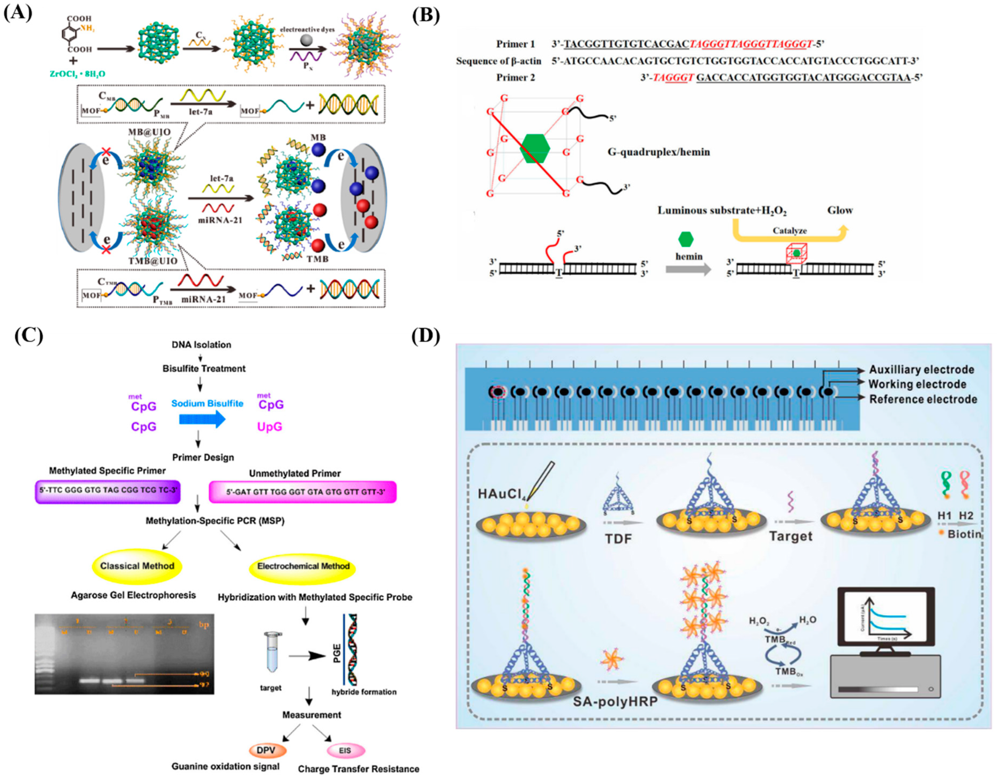 Diagnostics 13 00766 g004 Diagnostics 13 00766 g004