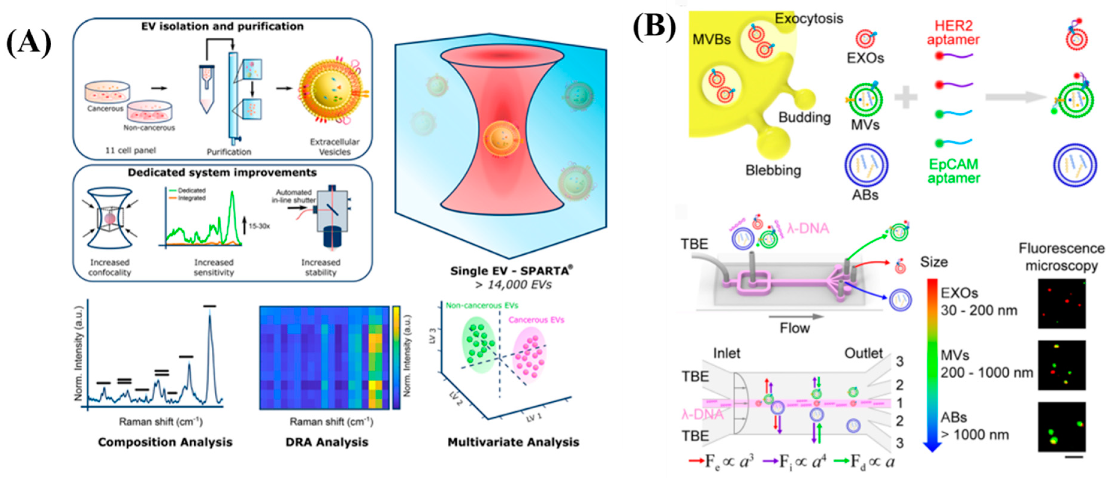 Diagnostics 13 00766 g007 Diagnostics 13 00766 g007