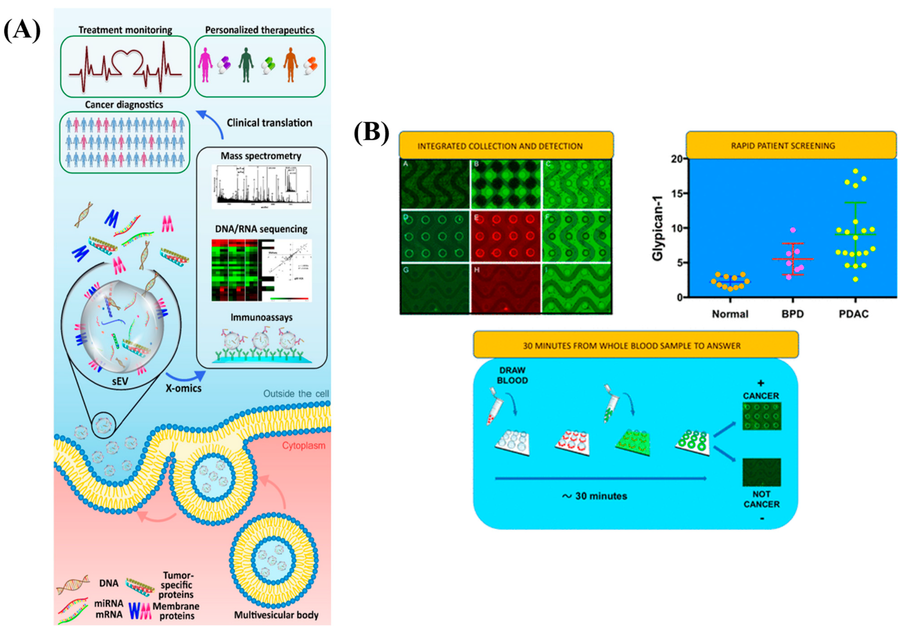 Diagnostics 13 00766 g008 Diagnostics 13 00766 g008