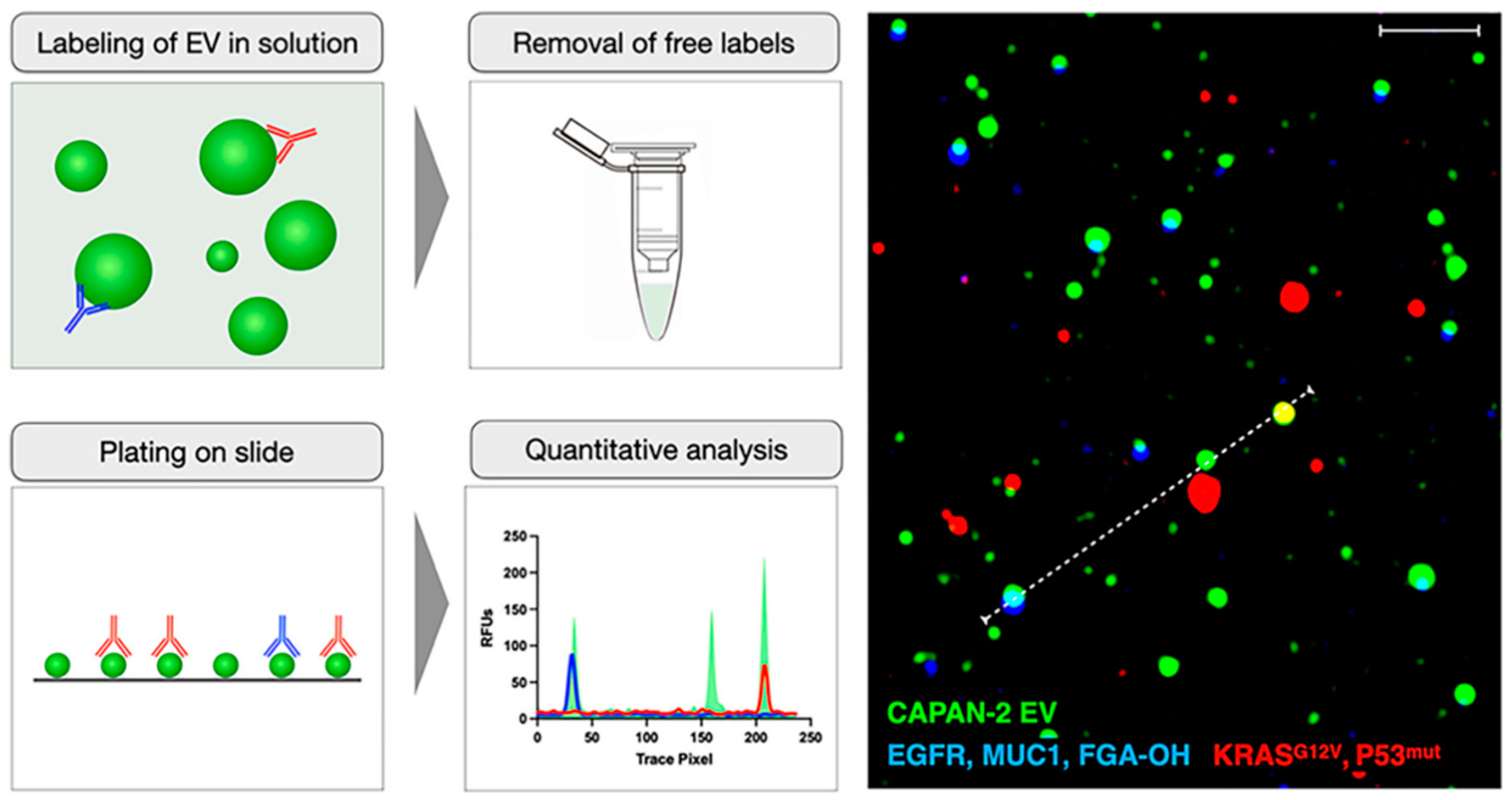 Diagnostics 13 00766 g010 Diagnostics 13 00766 g010