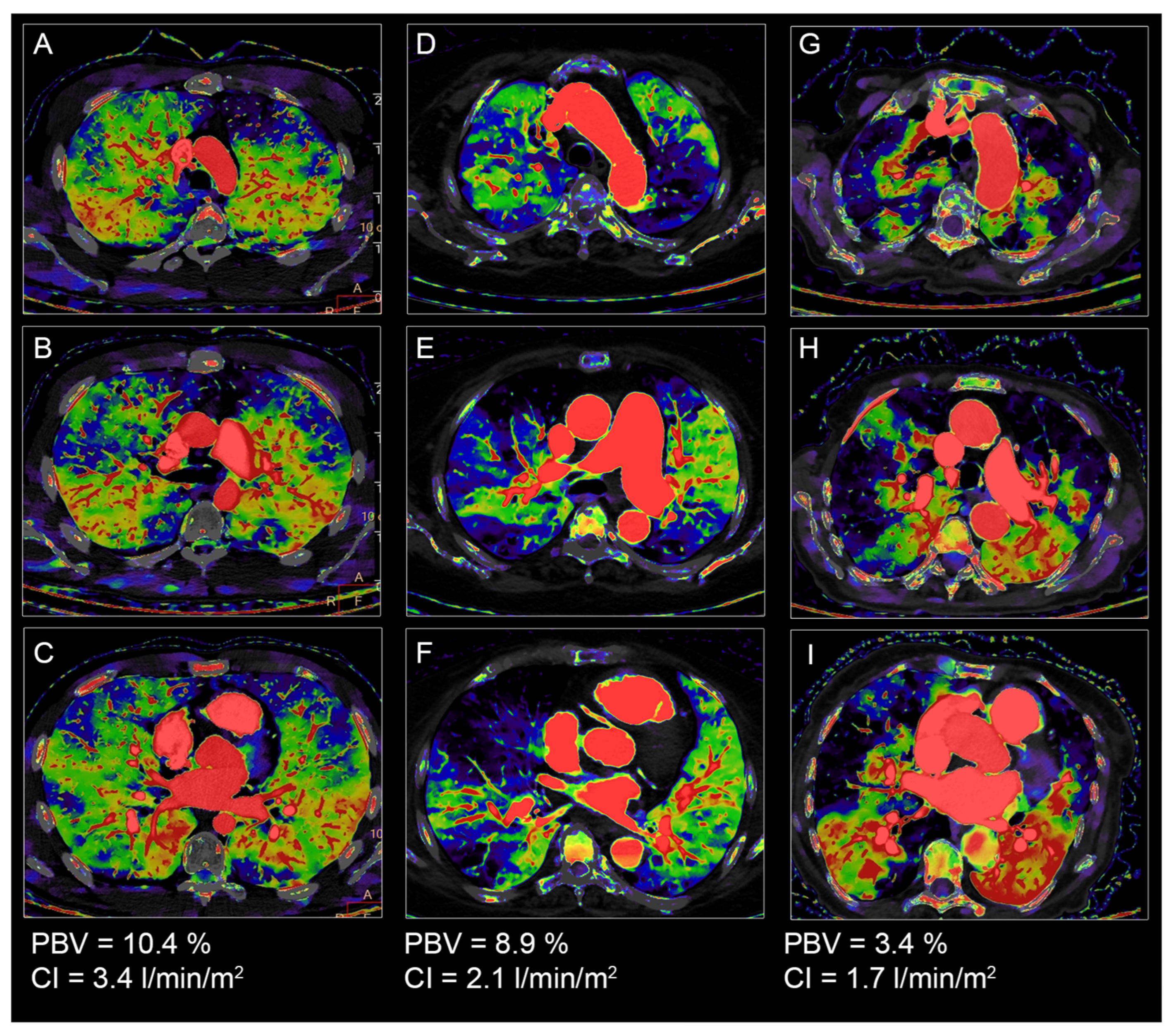 Diagnostics 13 00769 g005