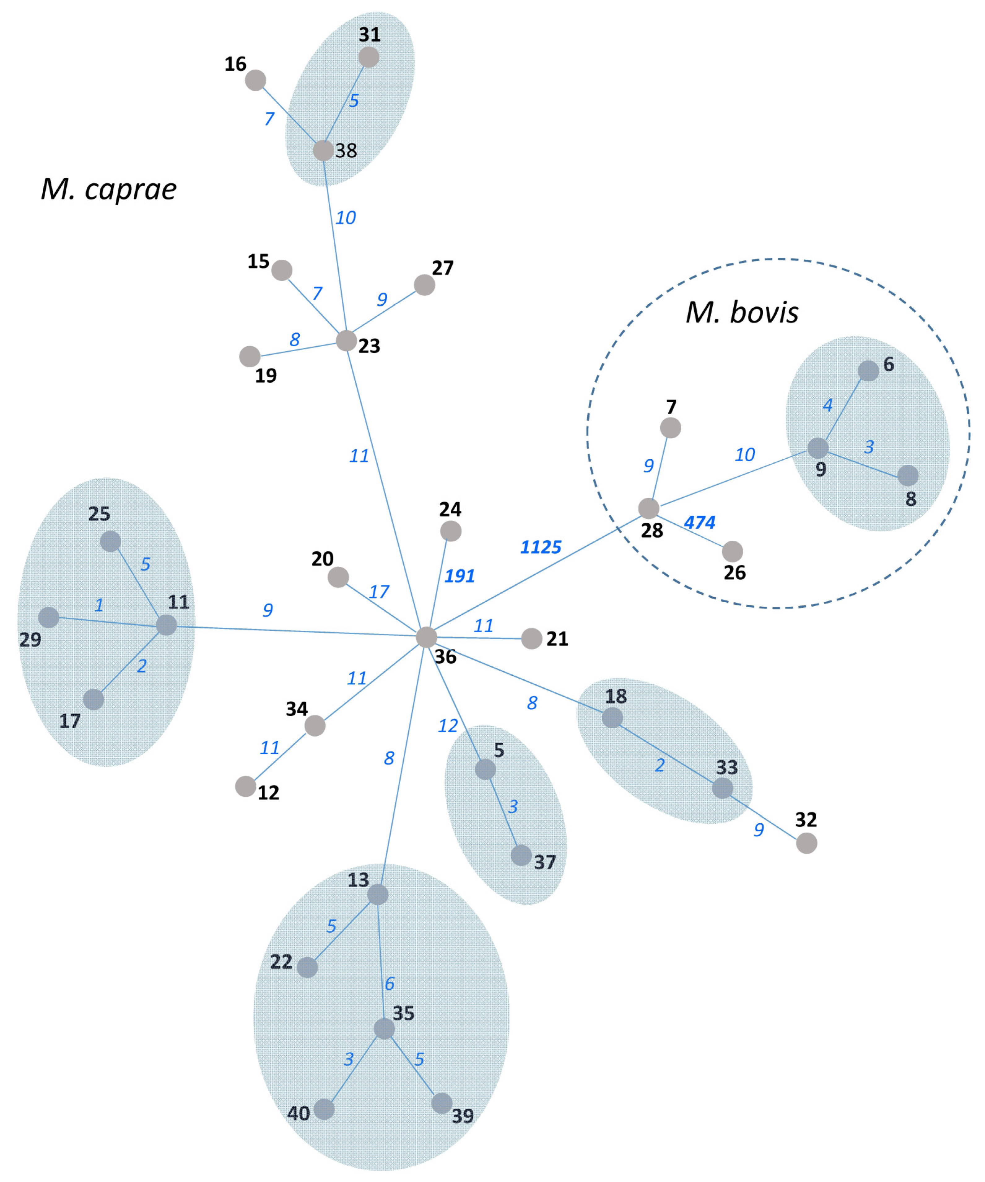 Diagnostics 13 00771 g002 Diagnostics 13 00771 g002