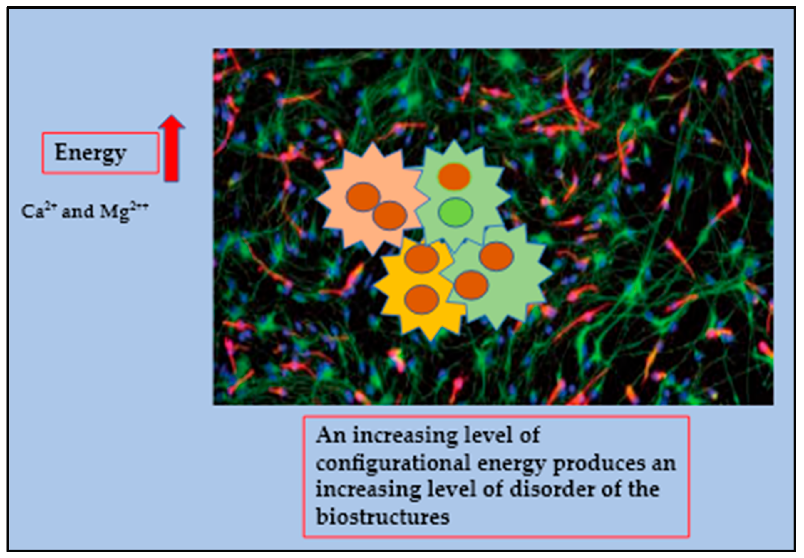 Diagnostics 13 00813 g004