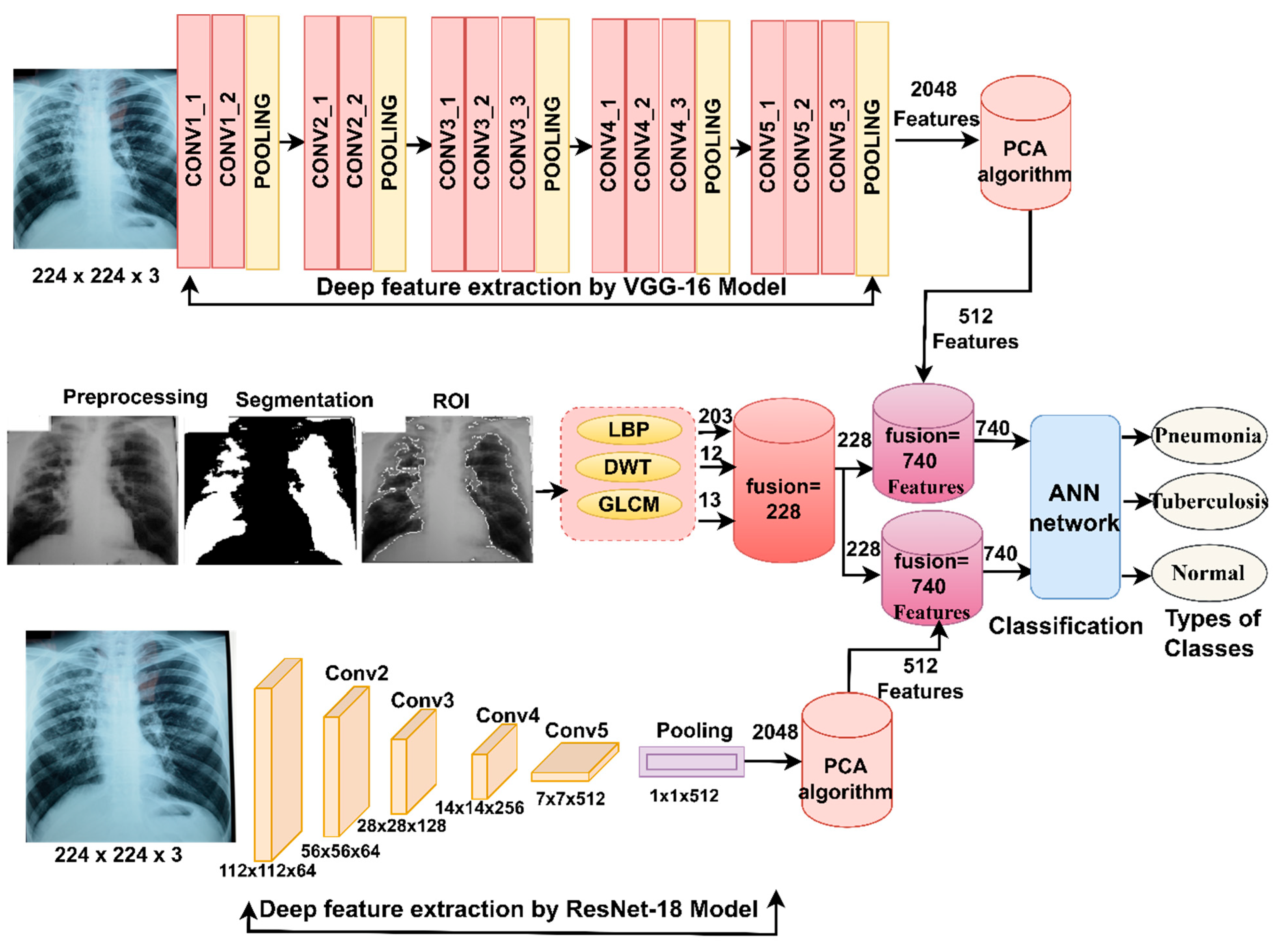 Diagnostics 13 00814 g005 Diagnostics 13 00814 g005
