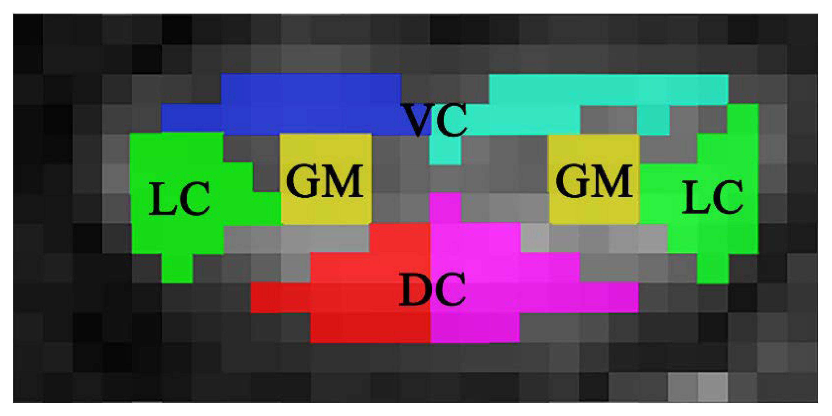 Diagnostics 13 00817 g001
