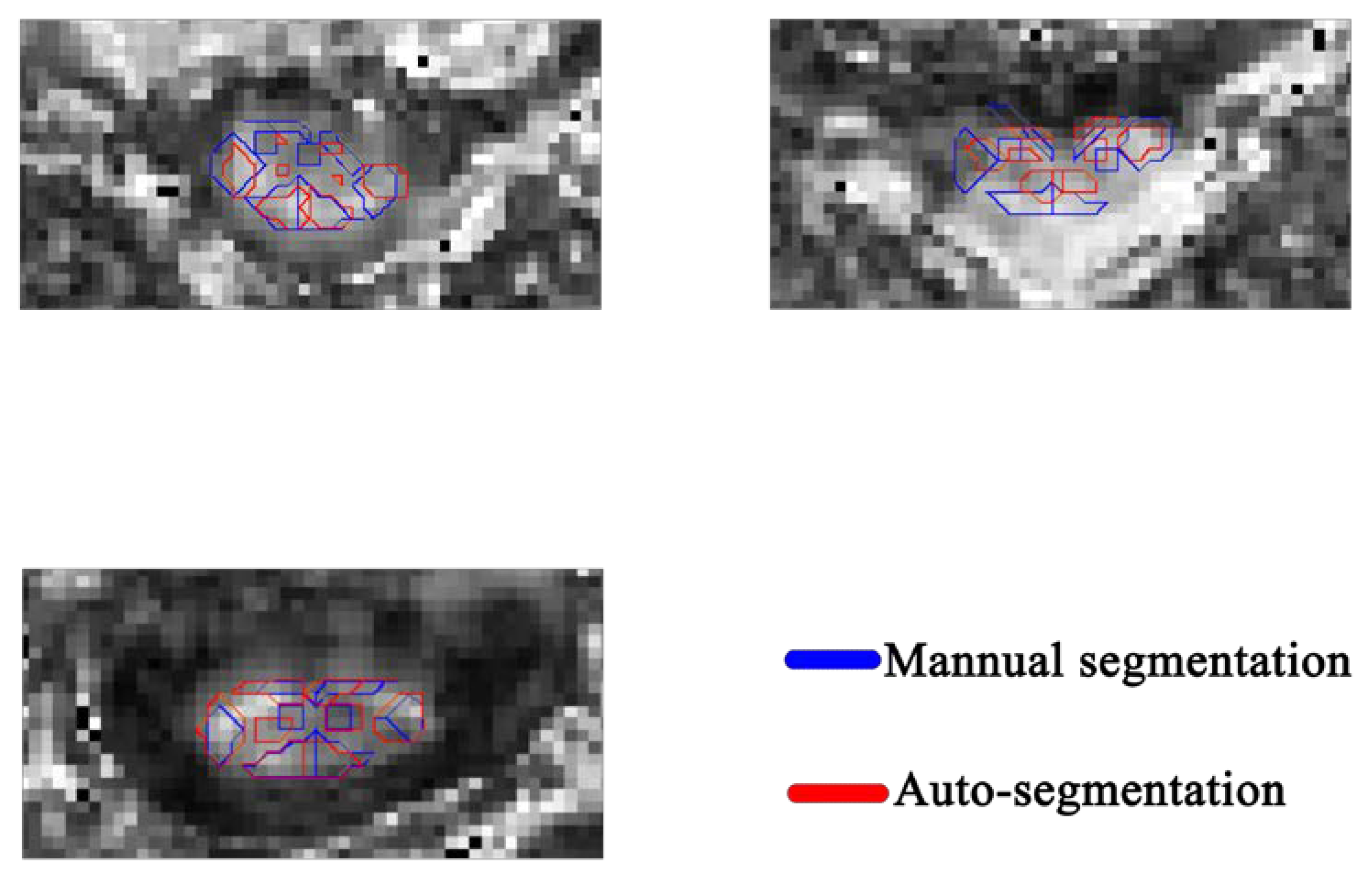 Diagnostics 13 00817 g005