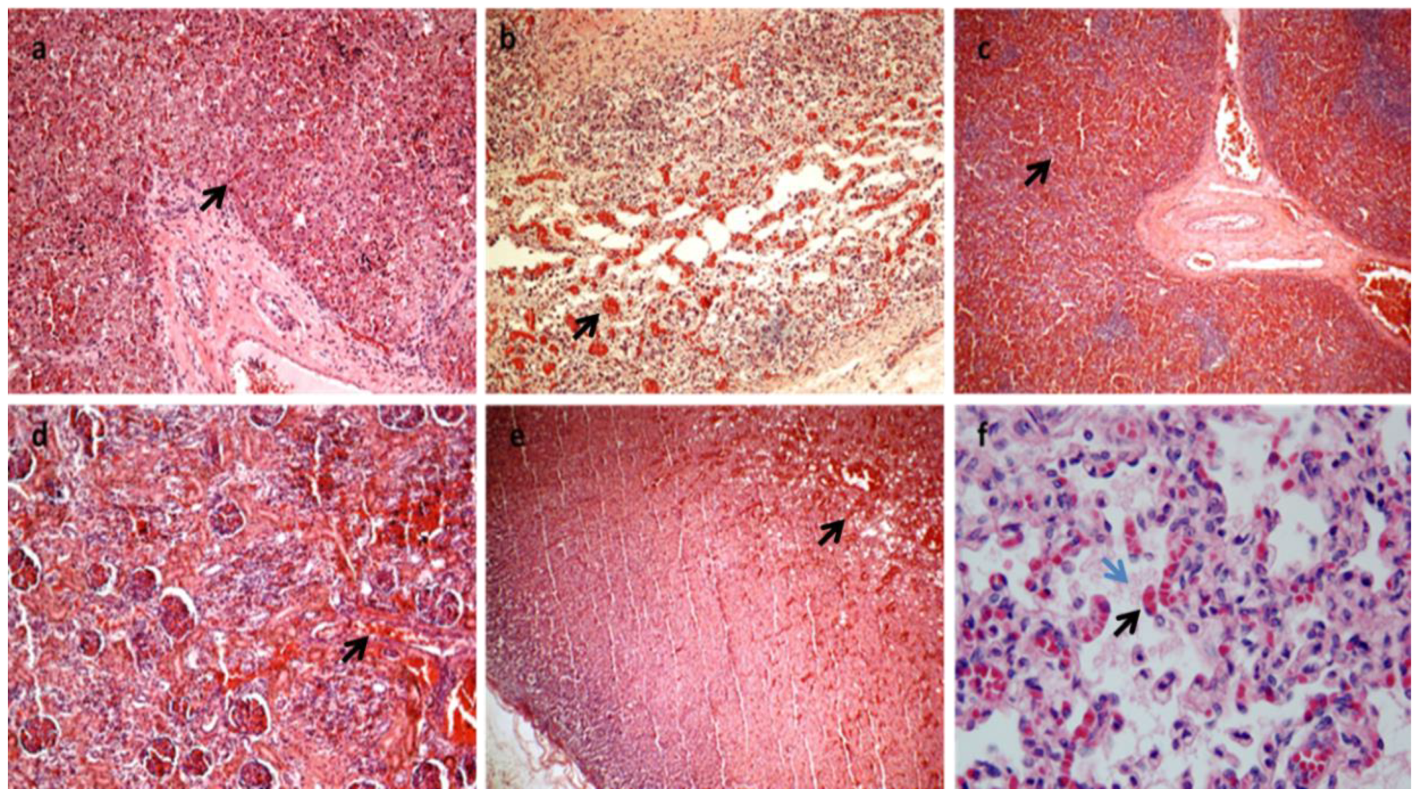 Diagnostics 13 00821 g002