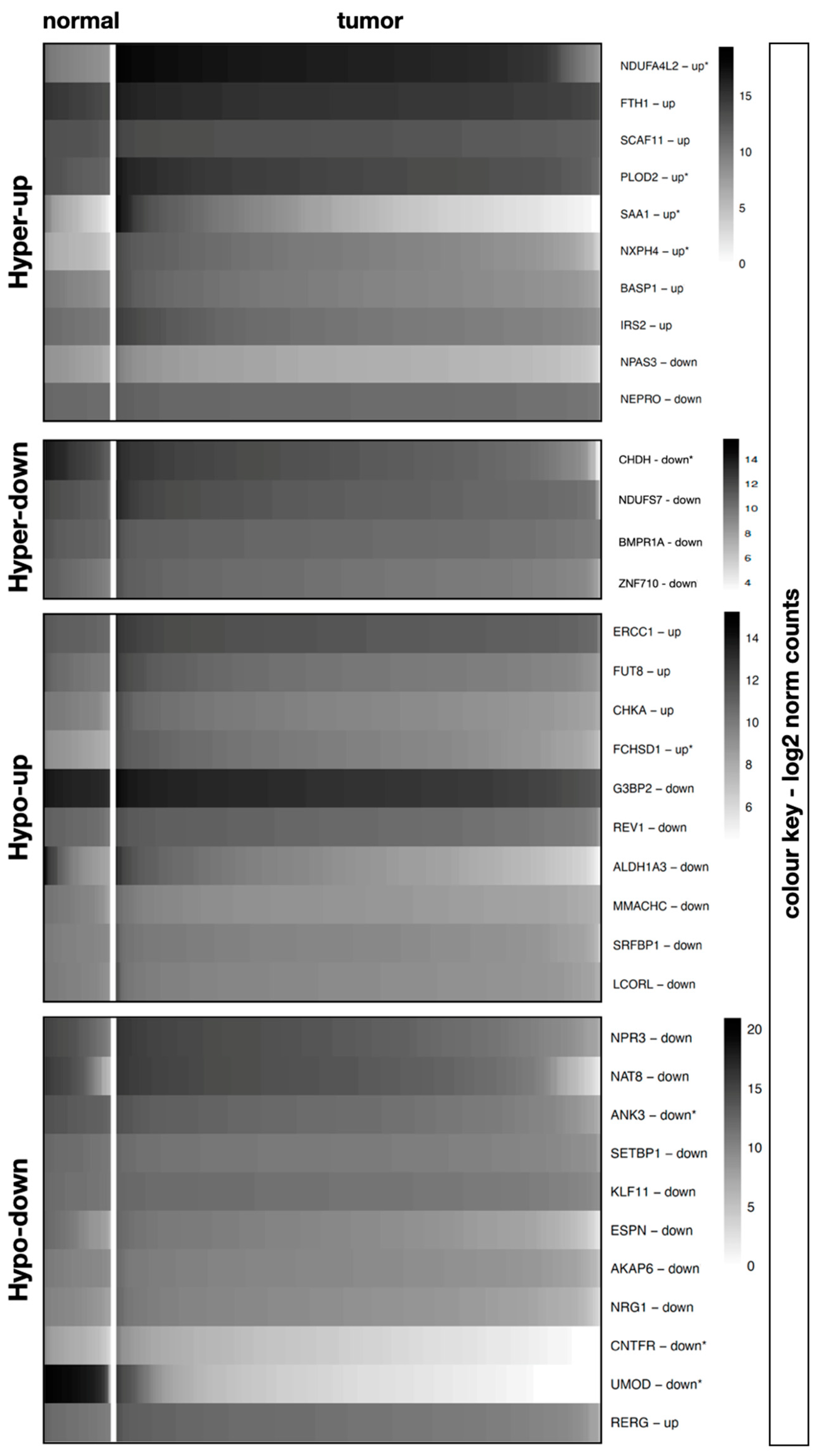 Diagnostics 13 00823 g001